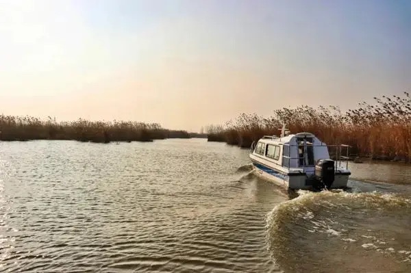 石龙湖湿地保护区旅行图片 2