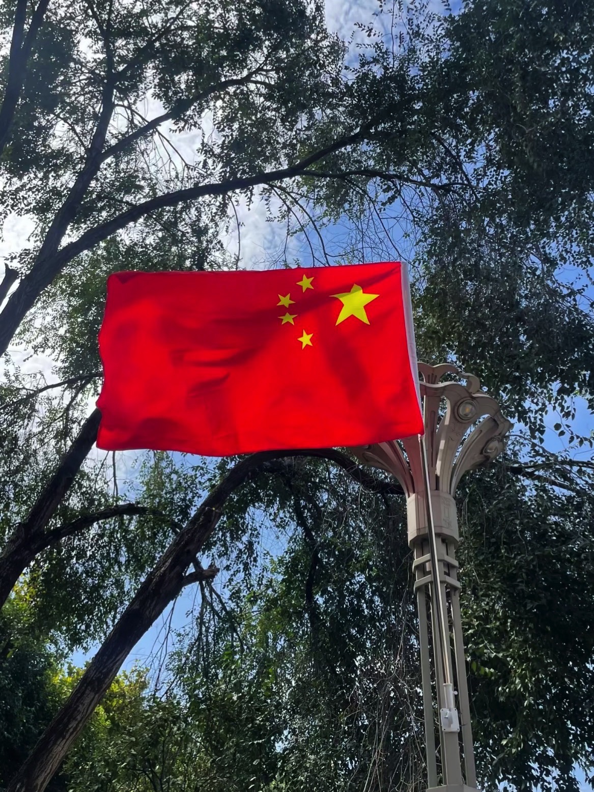 宿州古城墙旅行图片 1