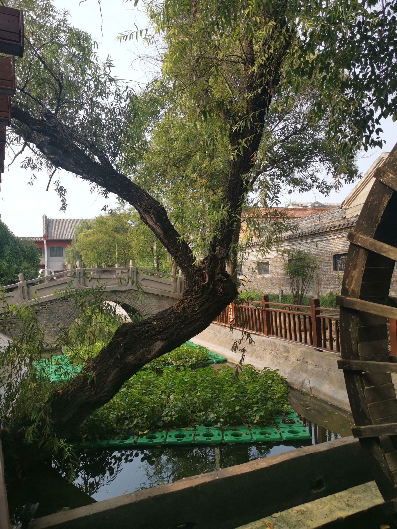 华祖庵旅行图片 1