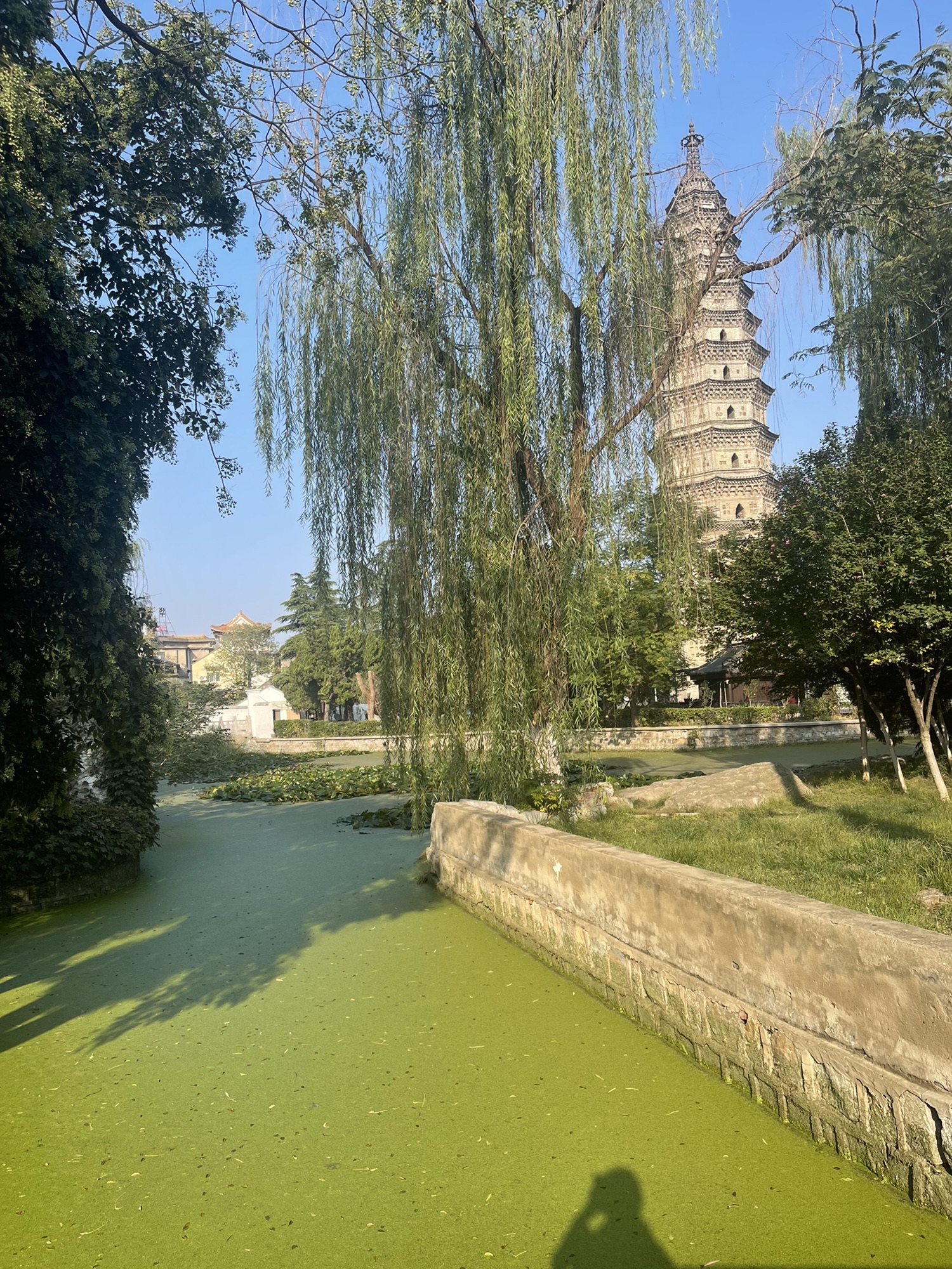 万佛塔公园旅行图片 2