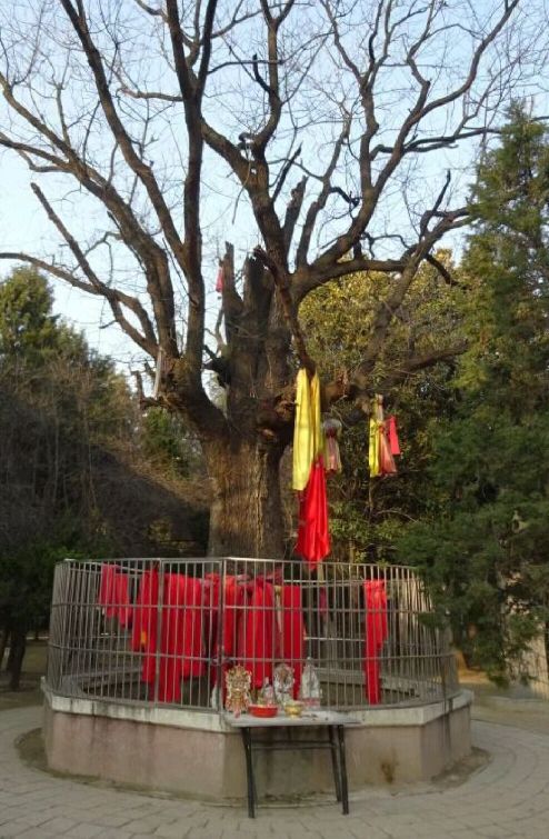 汤王陵公园旅行图片 2