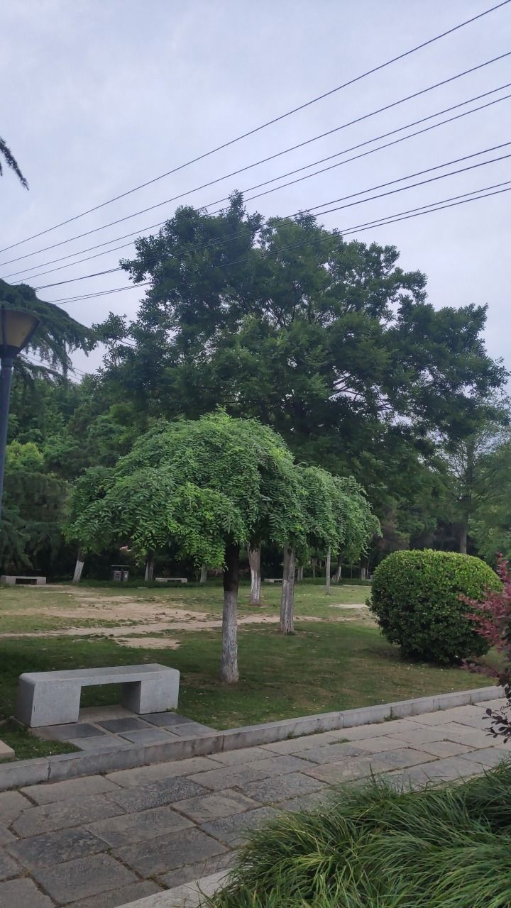 汤王陵公园旅行图片 3