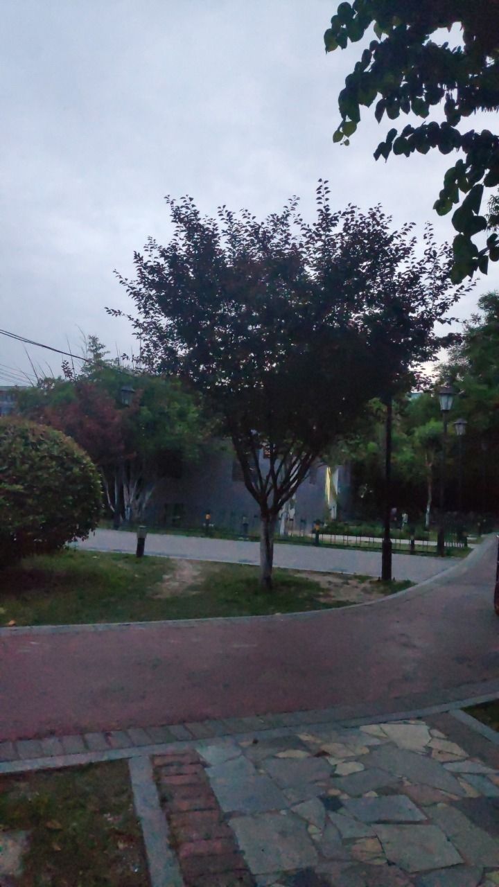 花戏楼-临涡憩园旅行图片 1