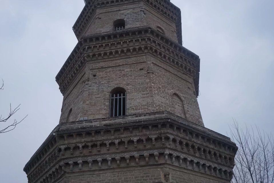 薛阁塔旅行图片 3