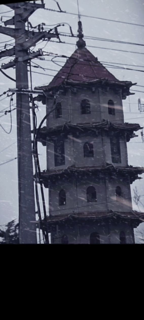 尚武塔旅行图片 1