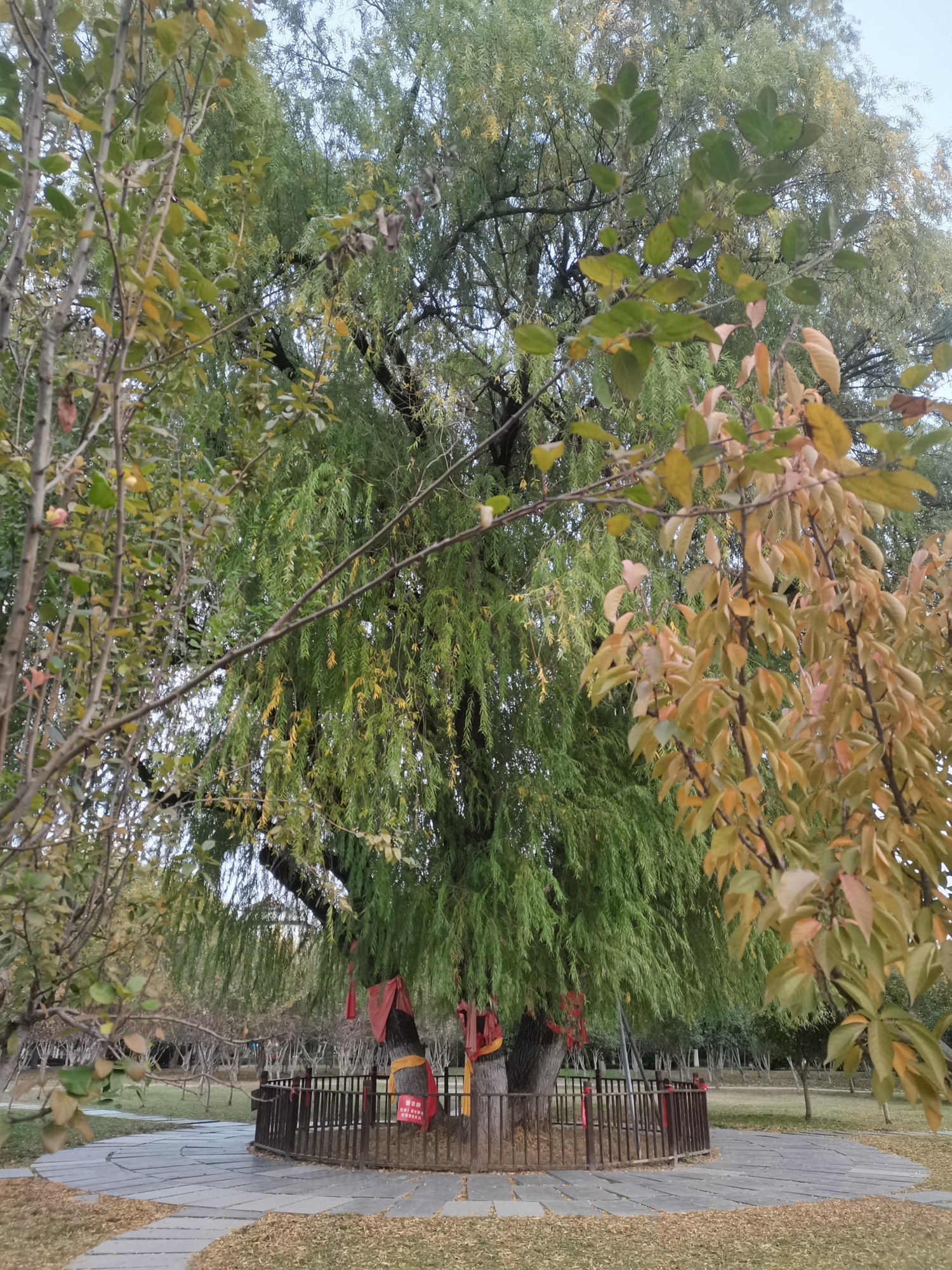 曹操公园旅行图片 3