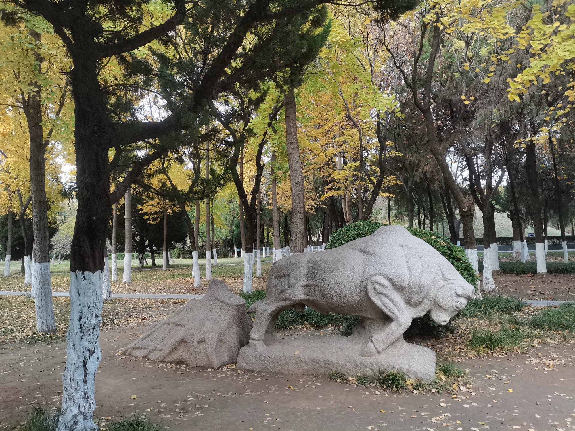 曹操公园旅行图片 2
