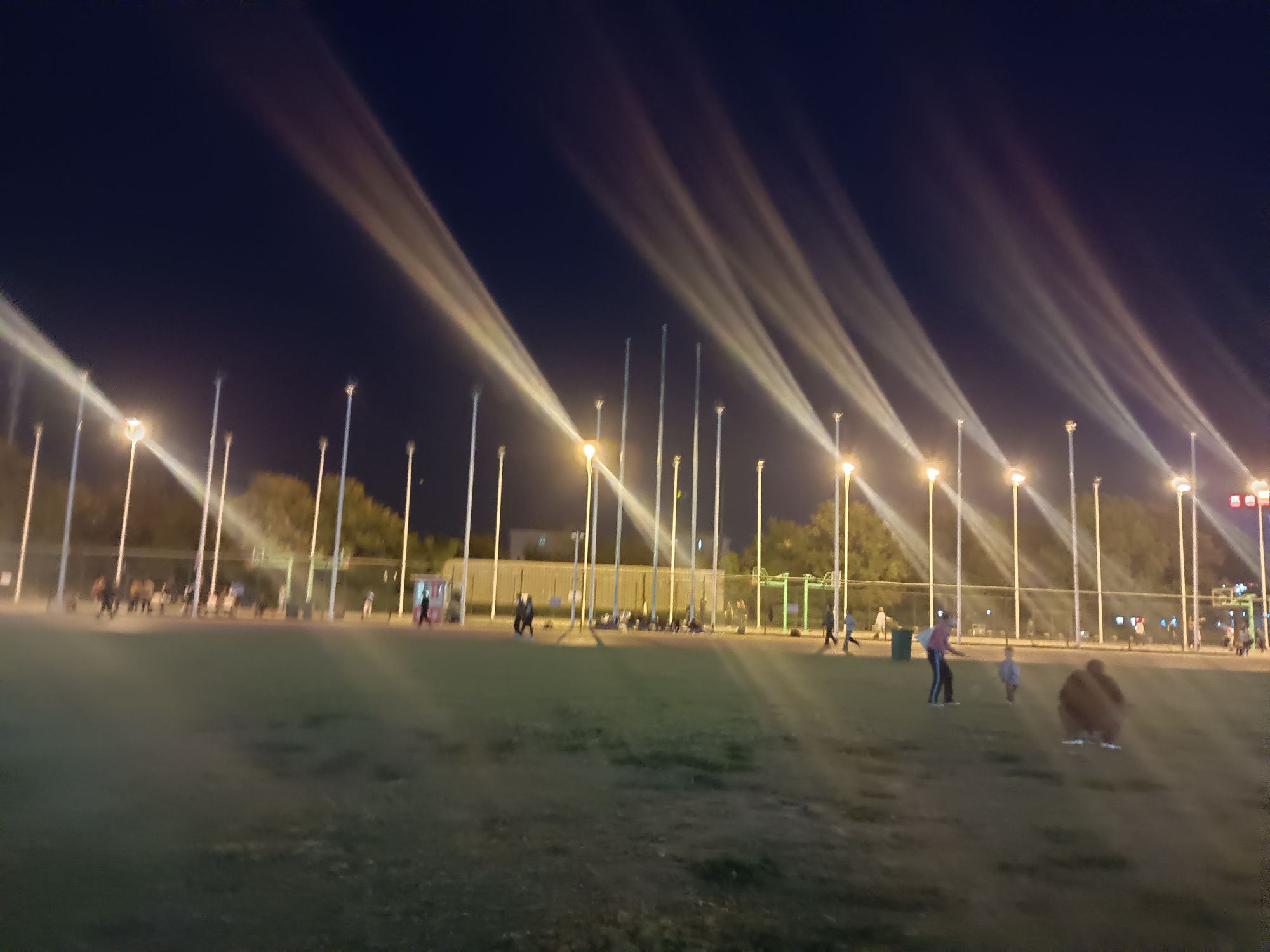紫光公园旅行图片 1