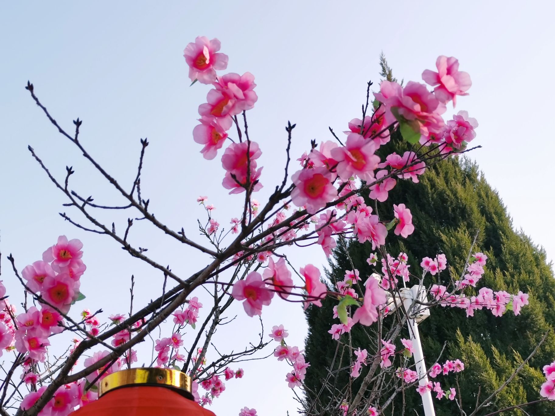 庄子祠旅行图片 3