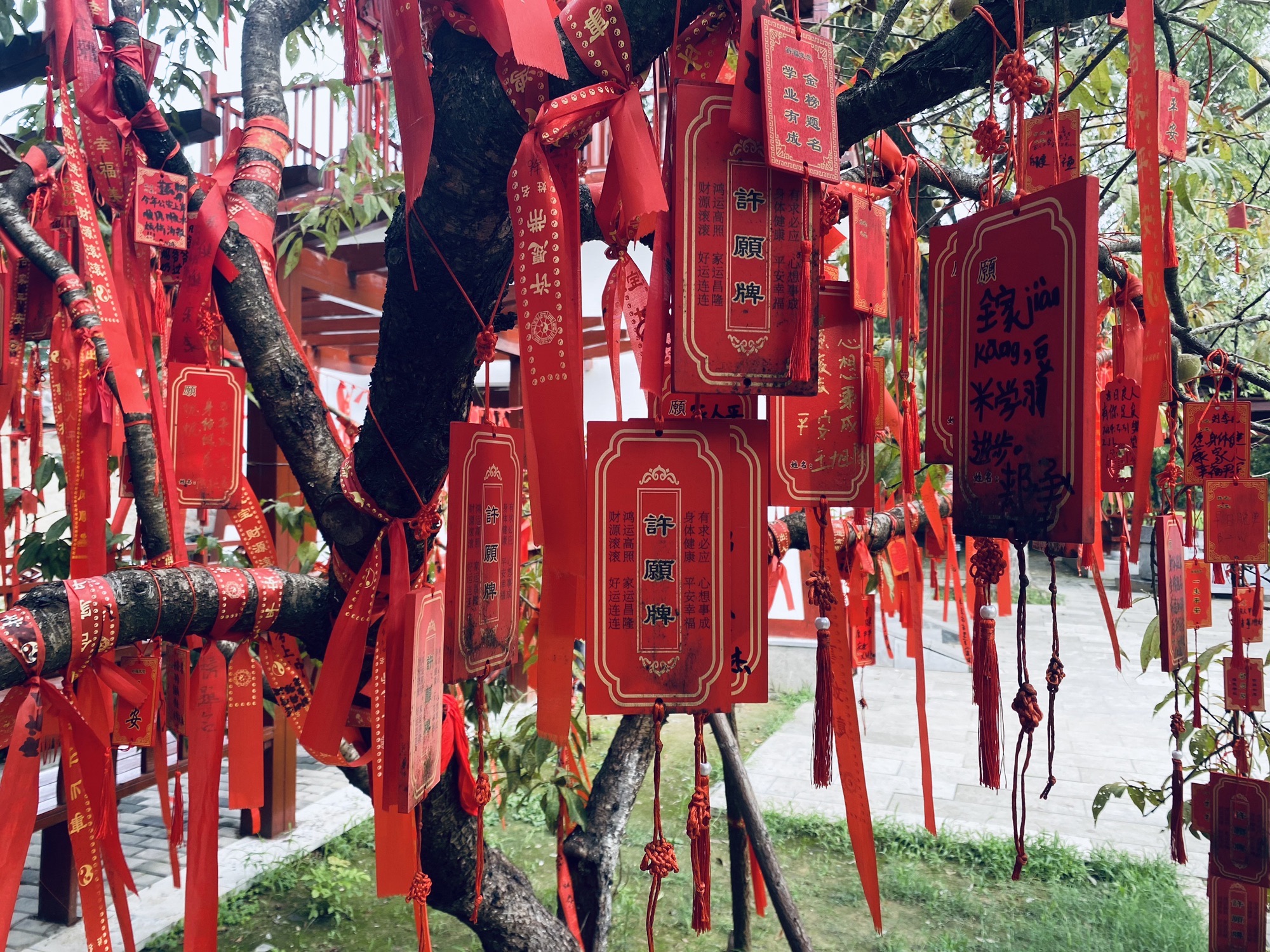 庄子祠旅行图片 2