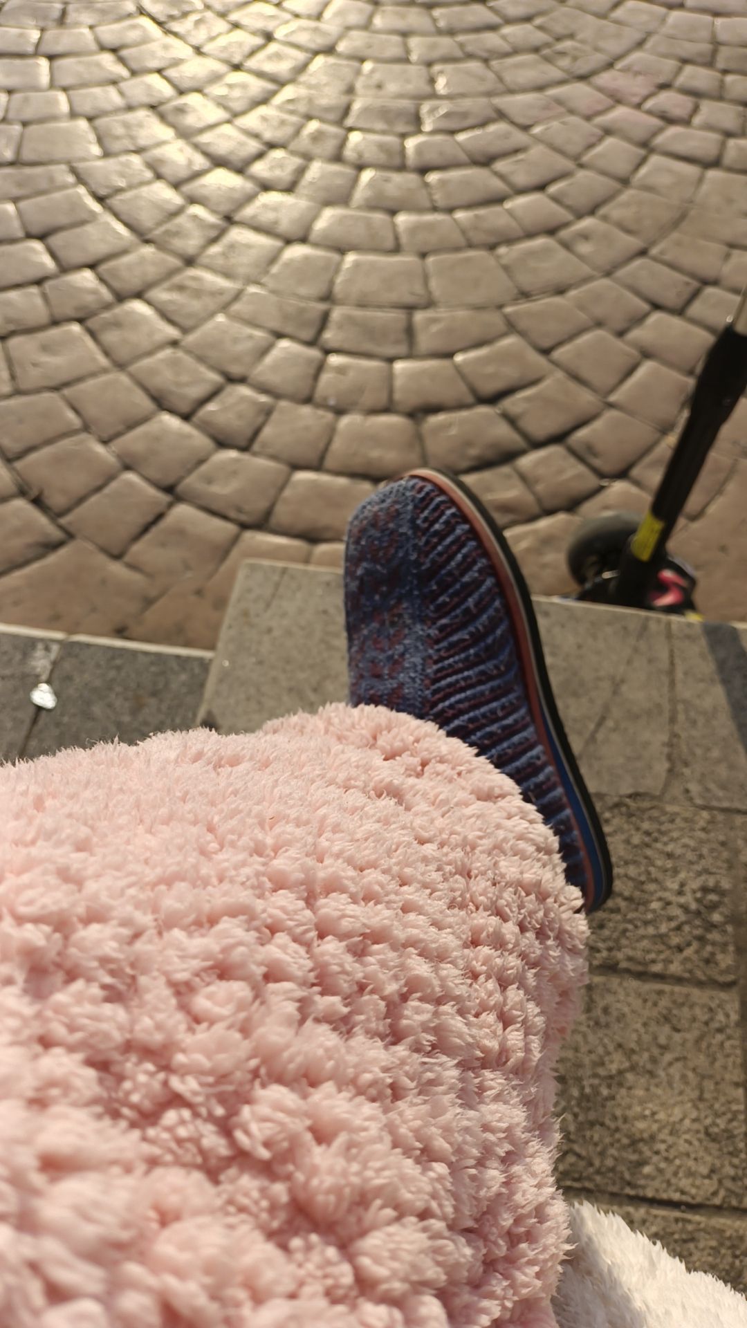 梦蝶湖公园旅行图片 2