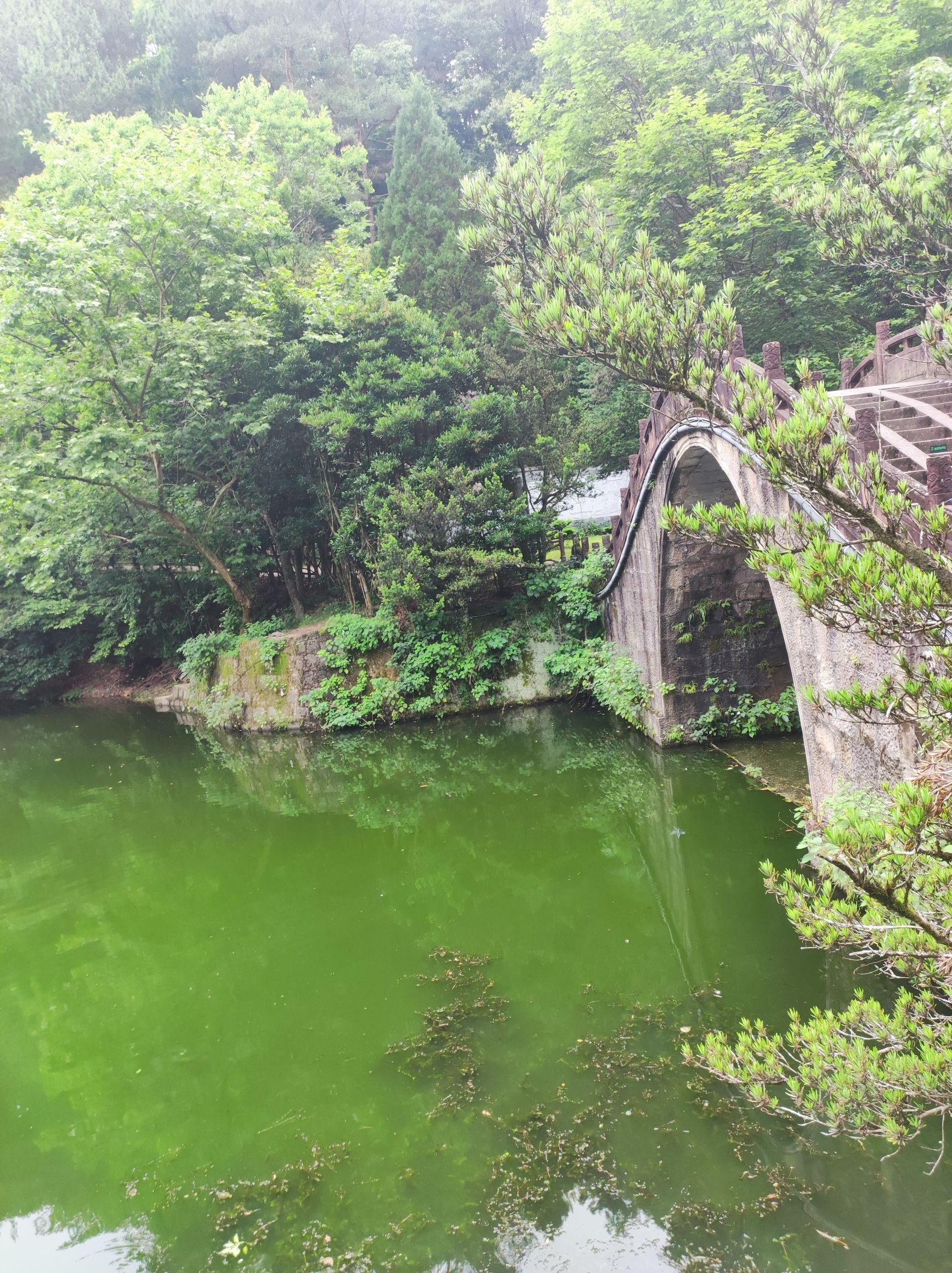 戴震公园旅行图片 2
