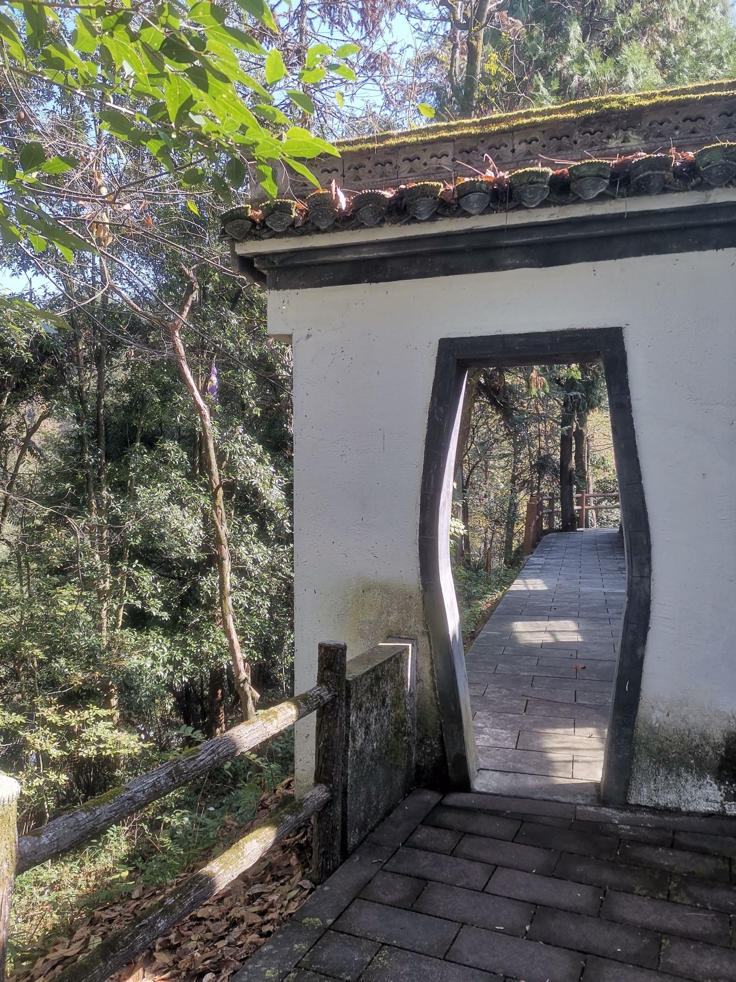 戴震公园旅行图片 2