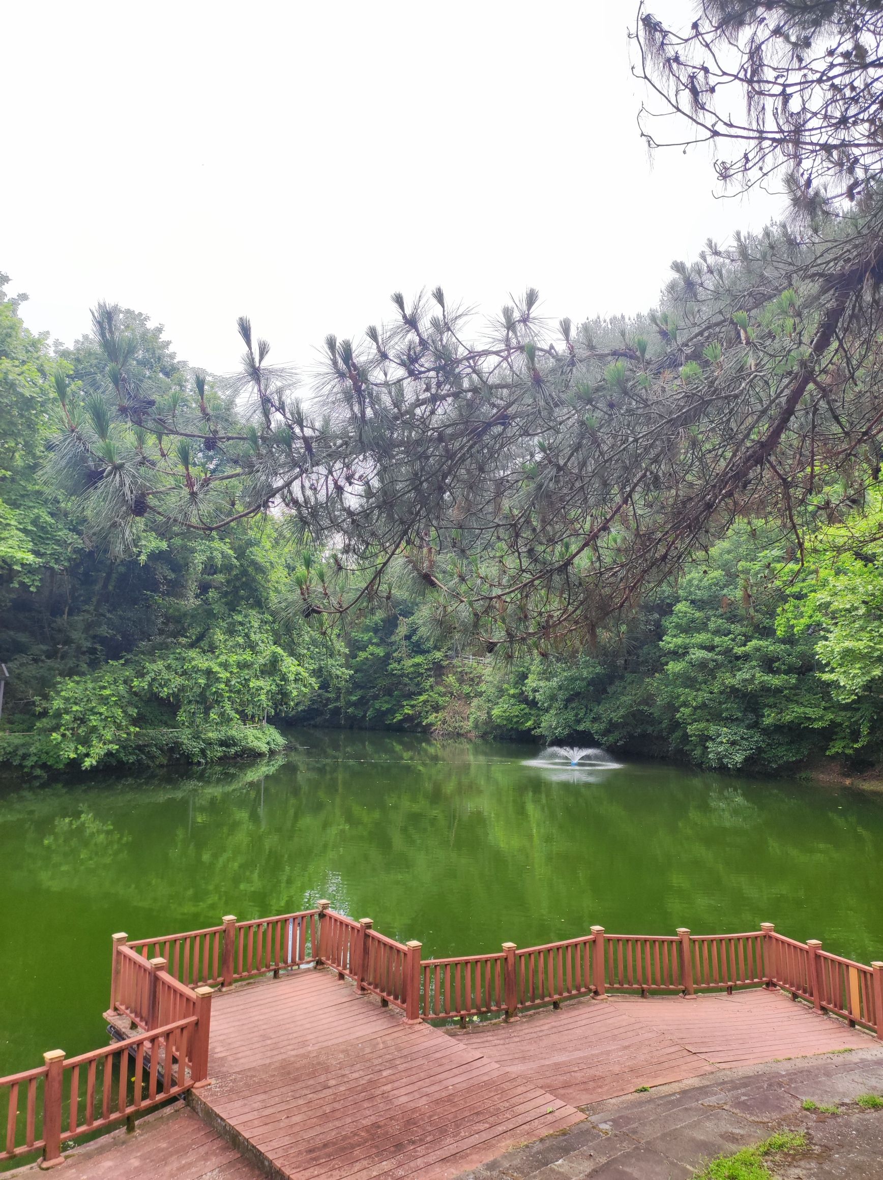戴震公园旅行图片 3