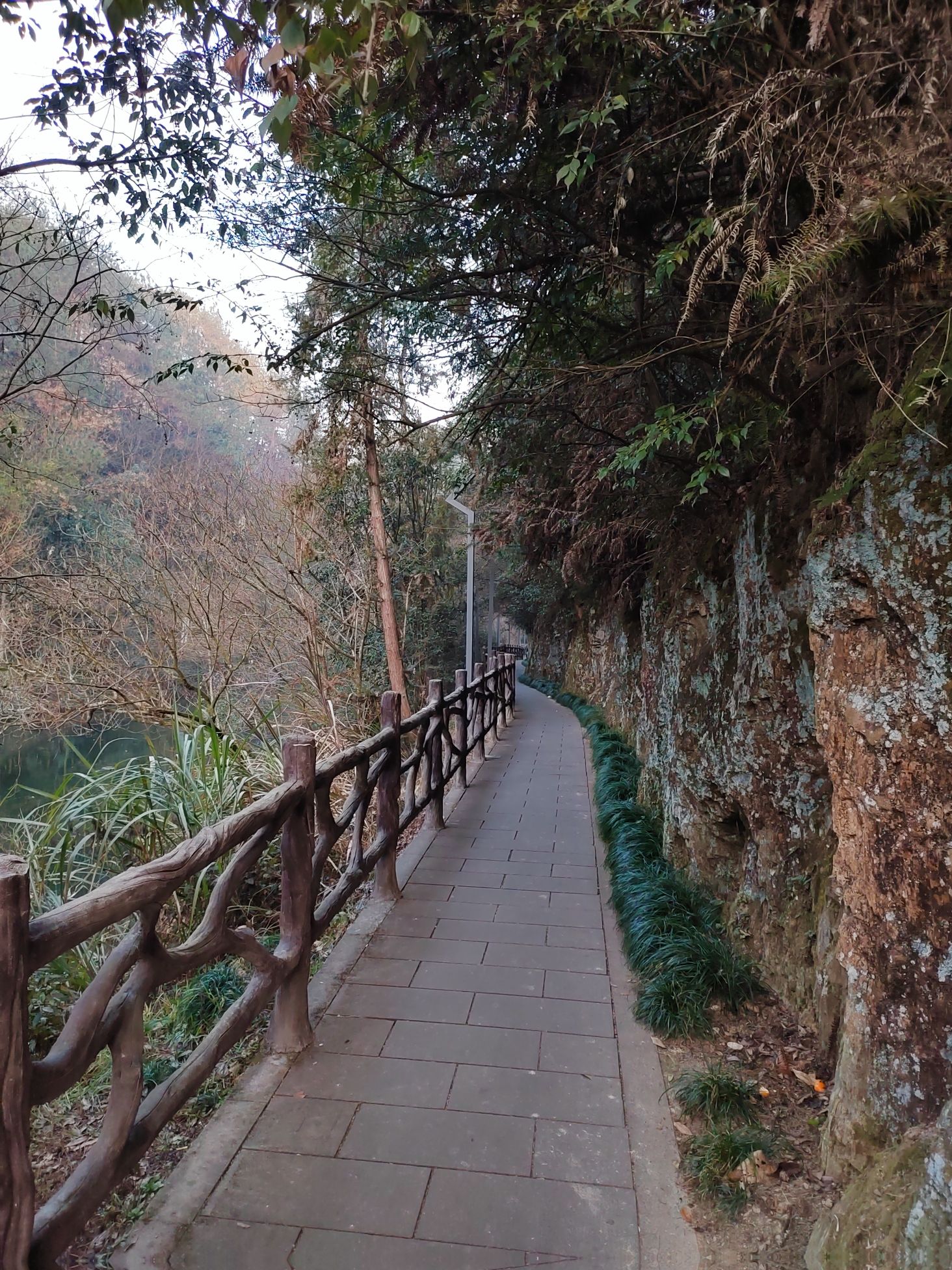 戴震公园旅行图片 3