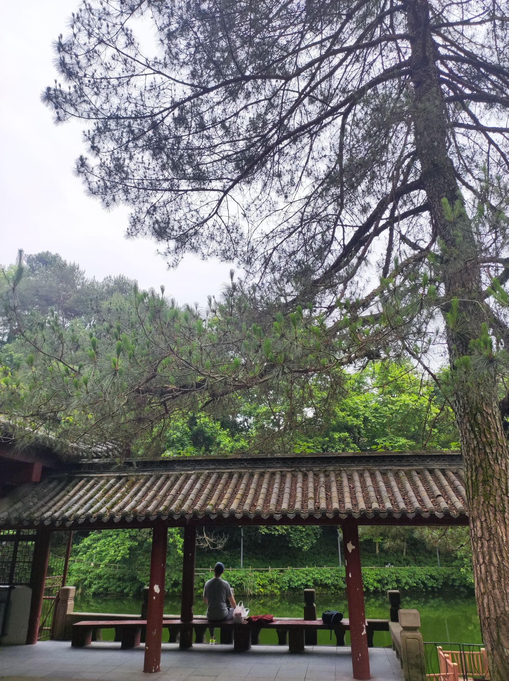 戴震公园旅行图片 1
