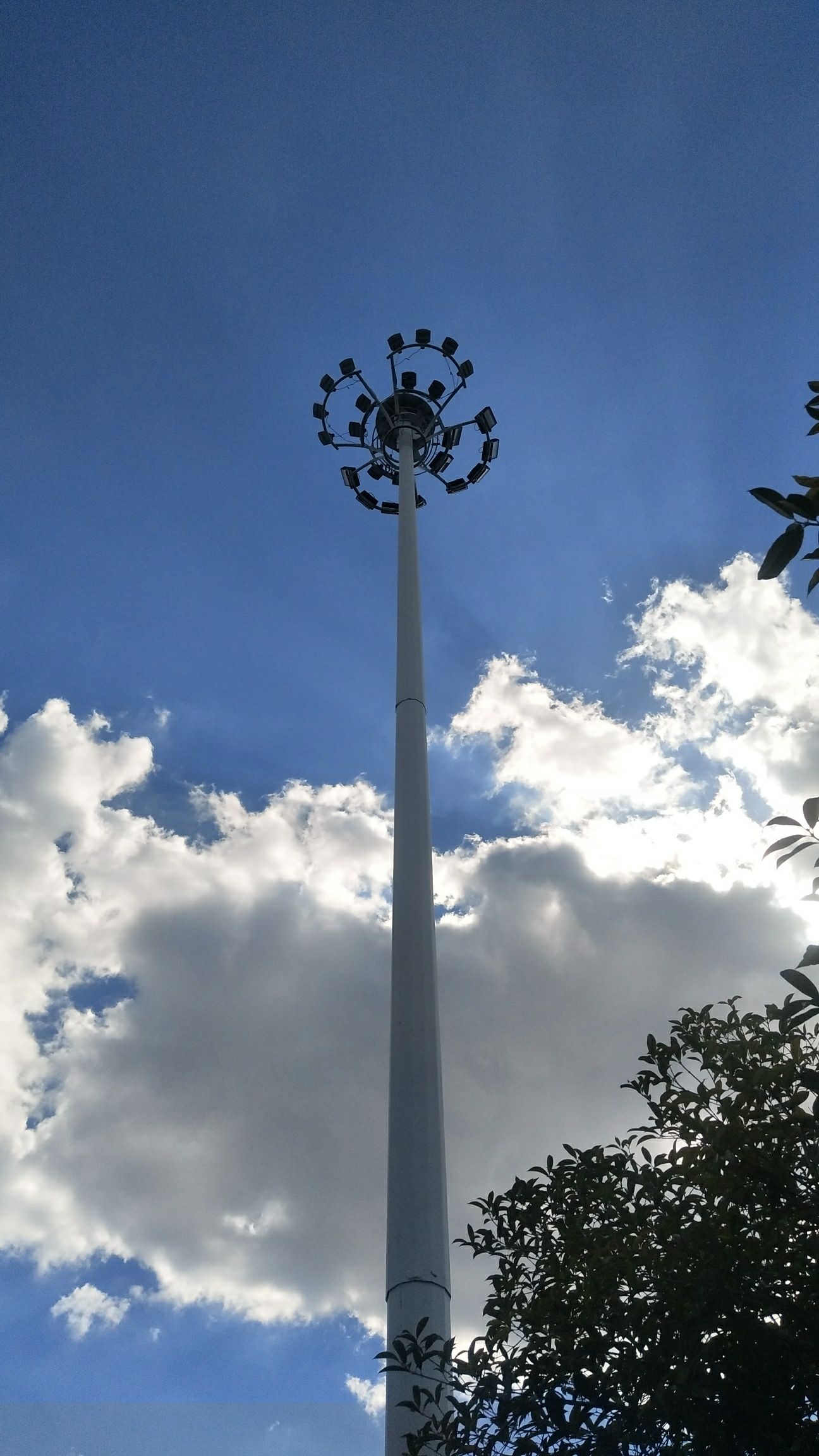 江心洲广场旅行图片 3