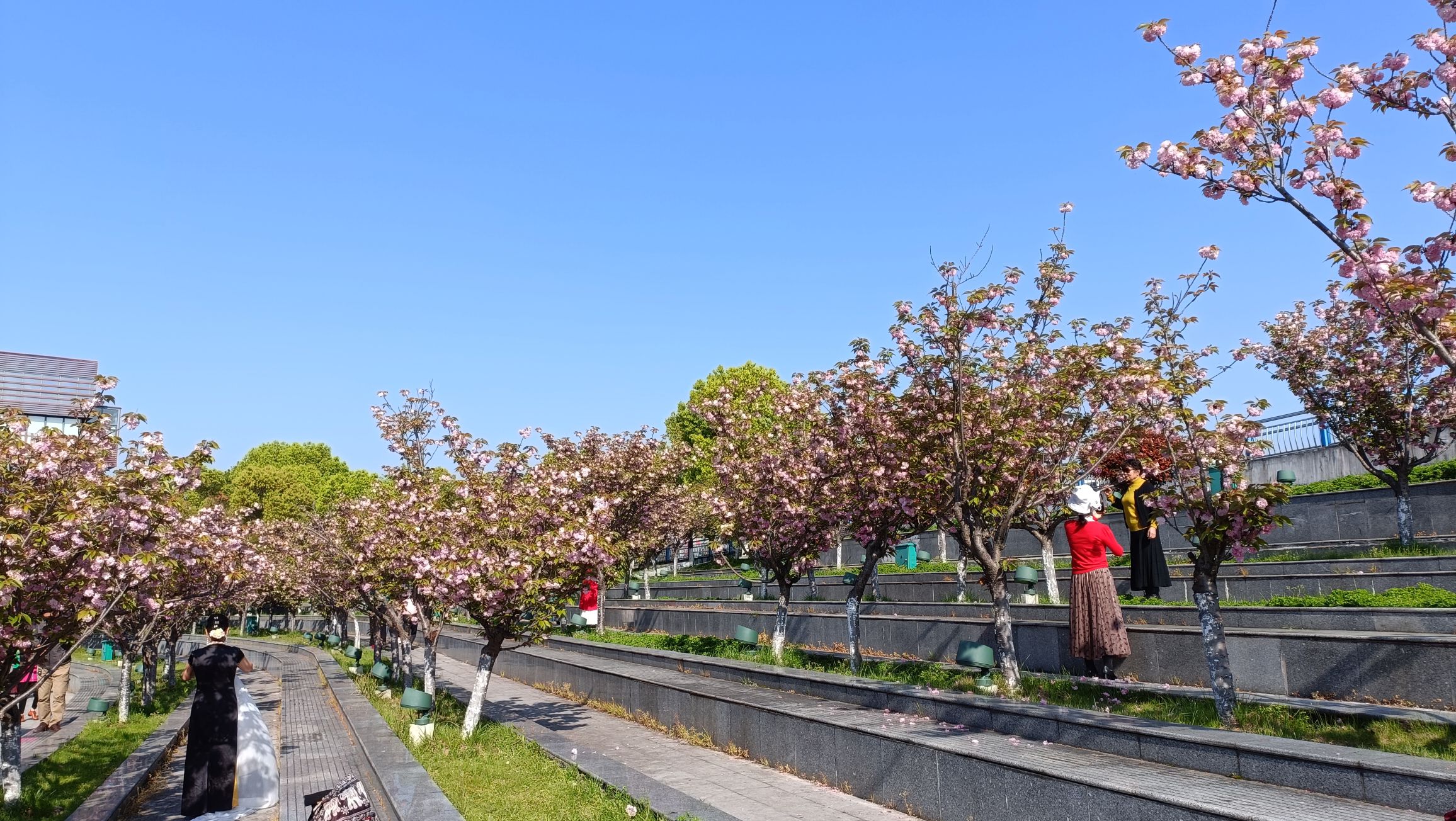 江心洲广场旅行图片 2