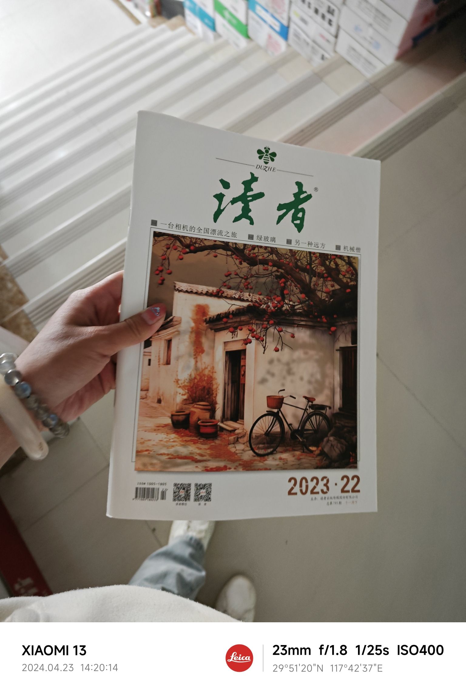 茶山公园旅行图片 2
