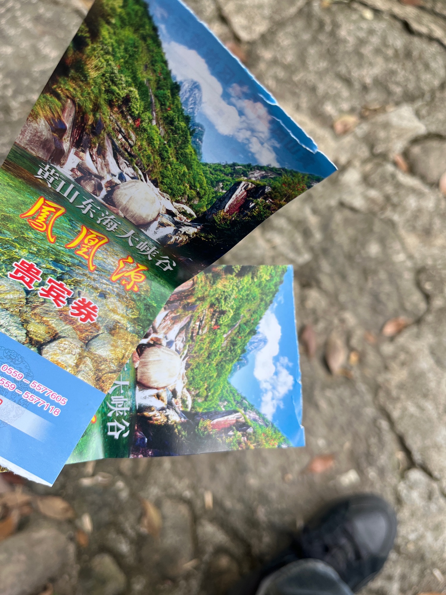 凤凰源景区旅行图片 1