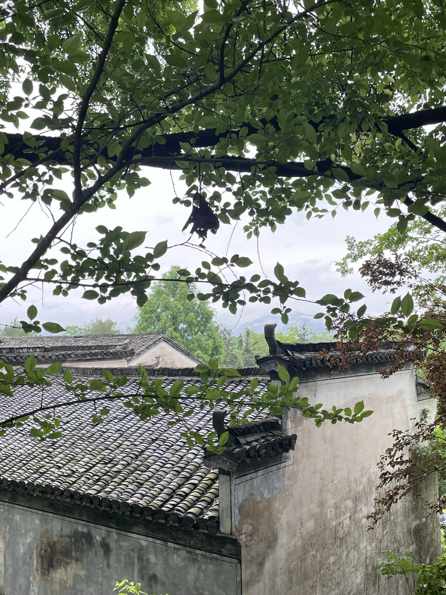 古城岩景区旅行图片 1