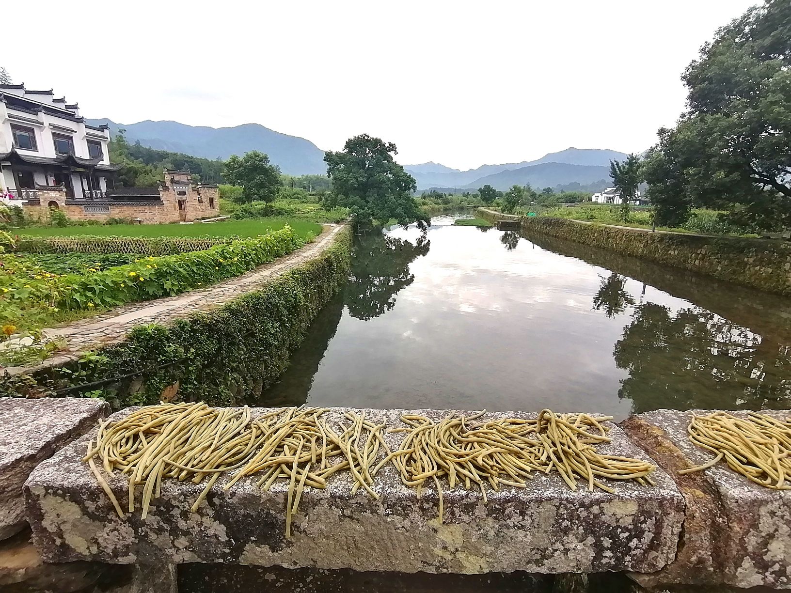 龙池湾旅行图片 3