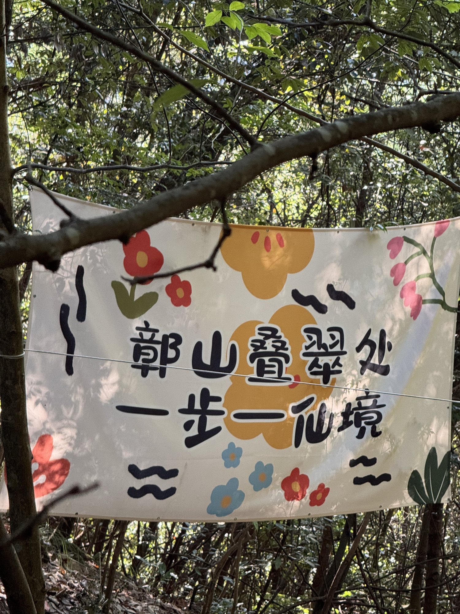 鄣山大峡谷风景区旅行图片 3