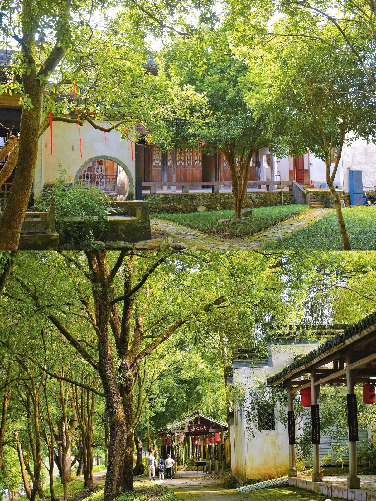 歙县雄村景区旅行图片 3