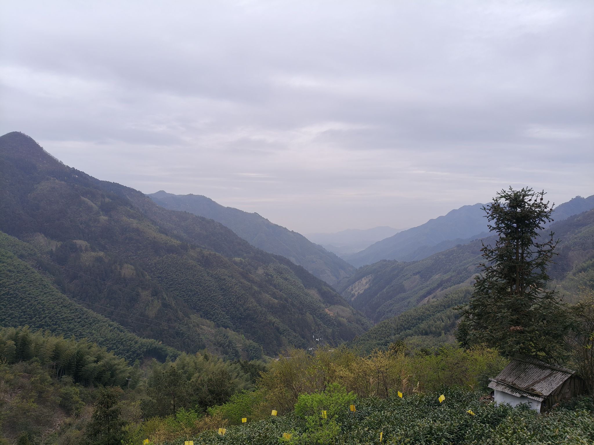 许村旅行图片 1