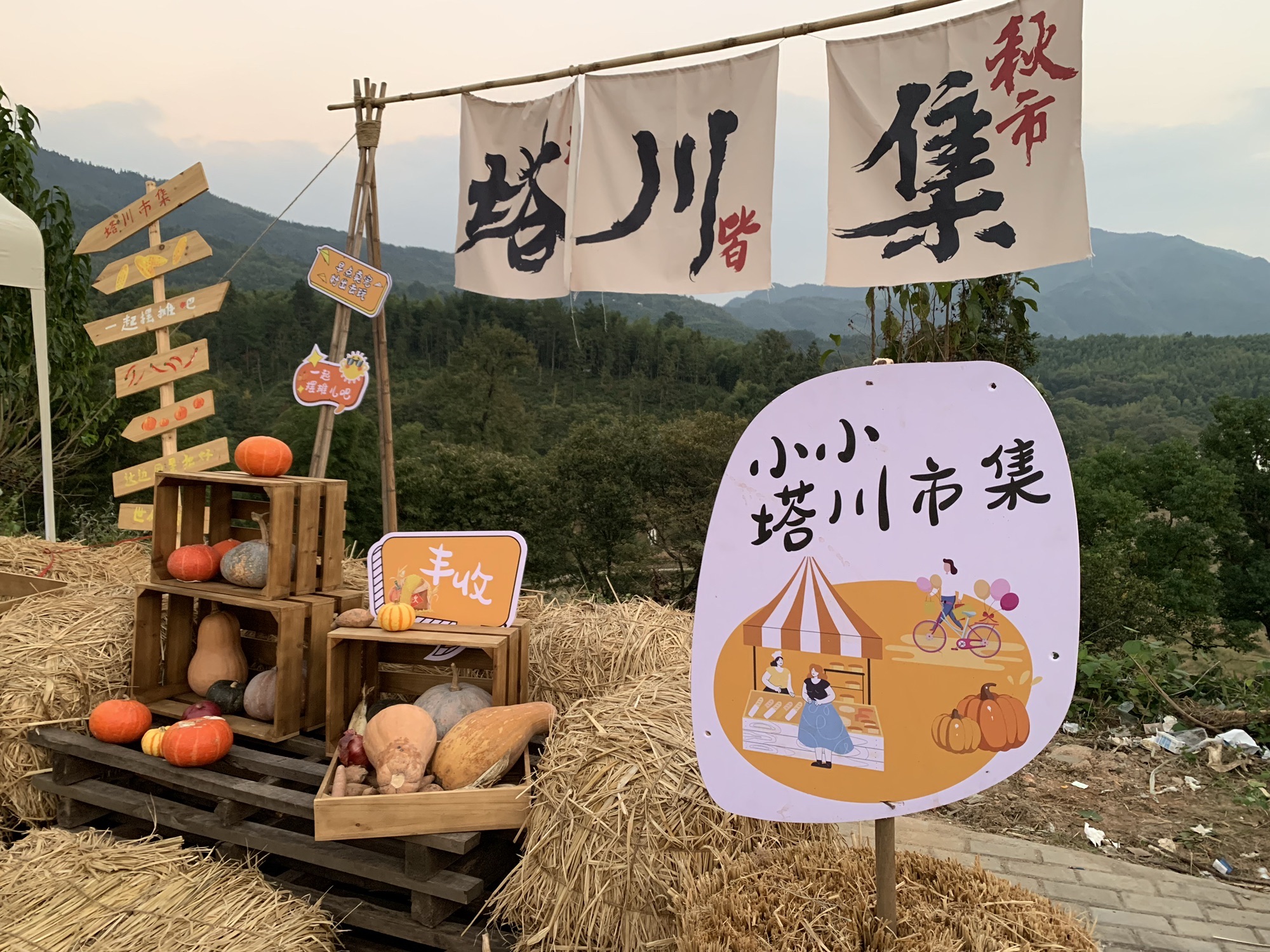 塔川国家森林公园旅行图片 2