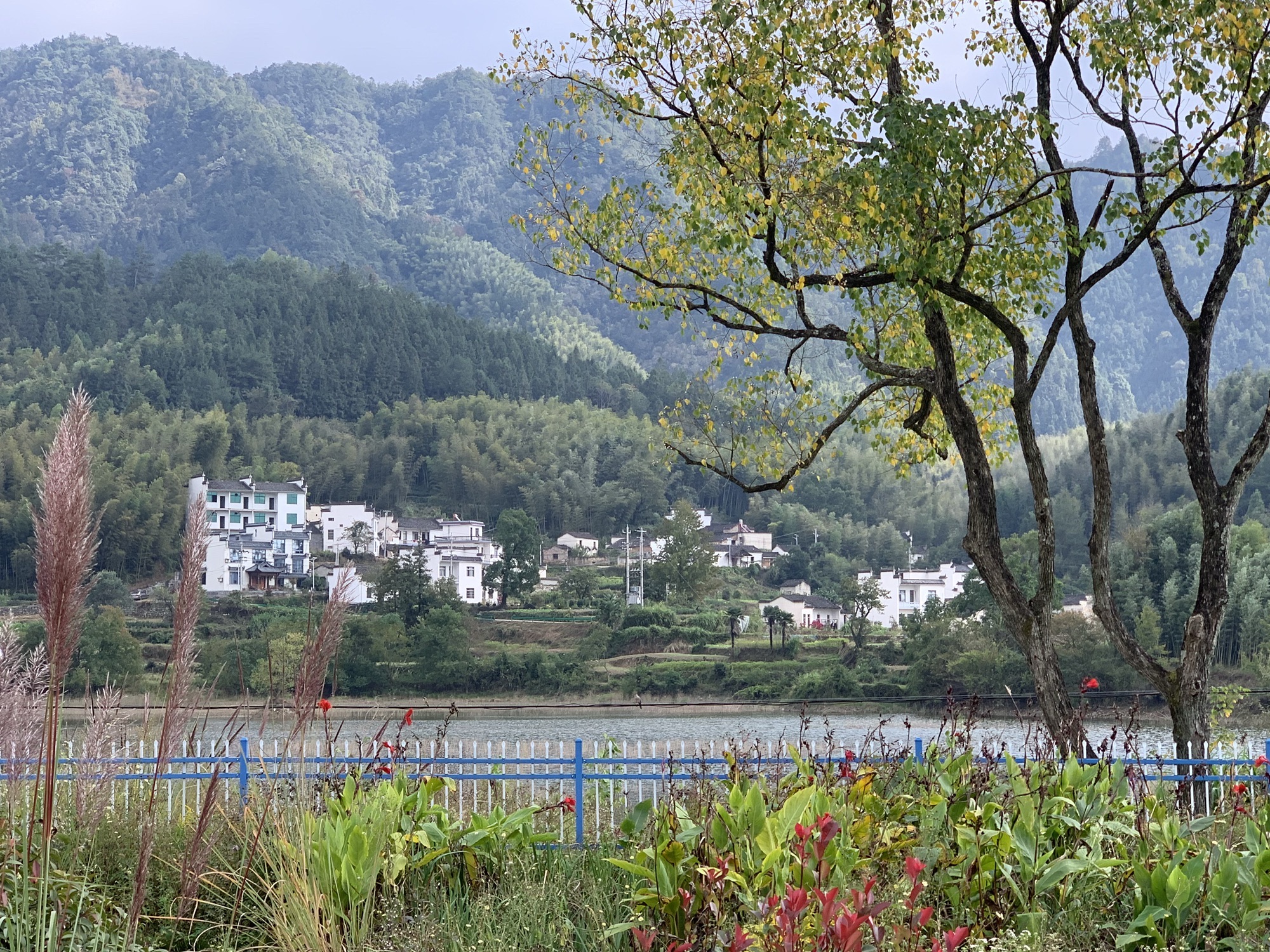 塔川国家森林公园旅行图片 3