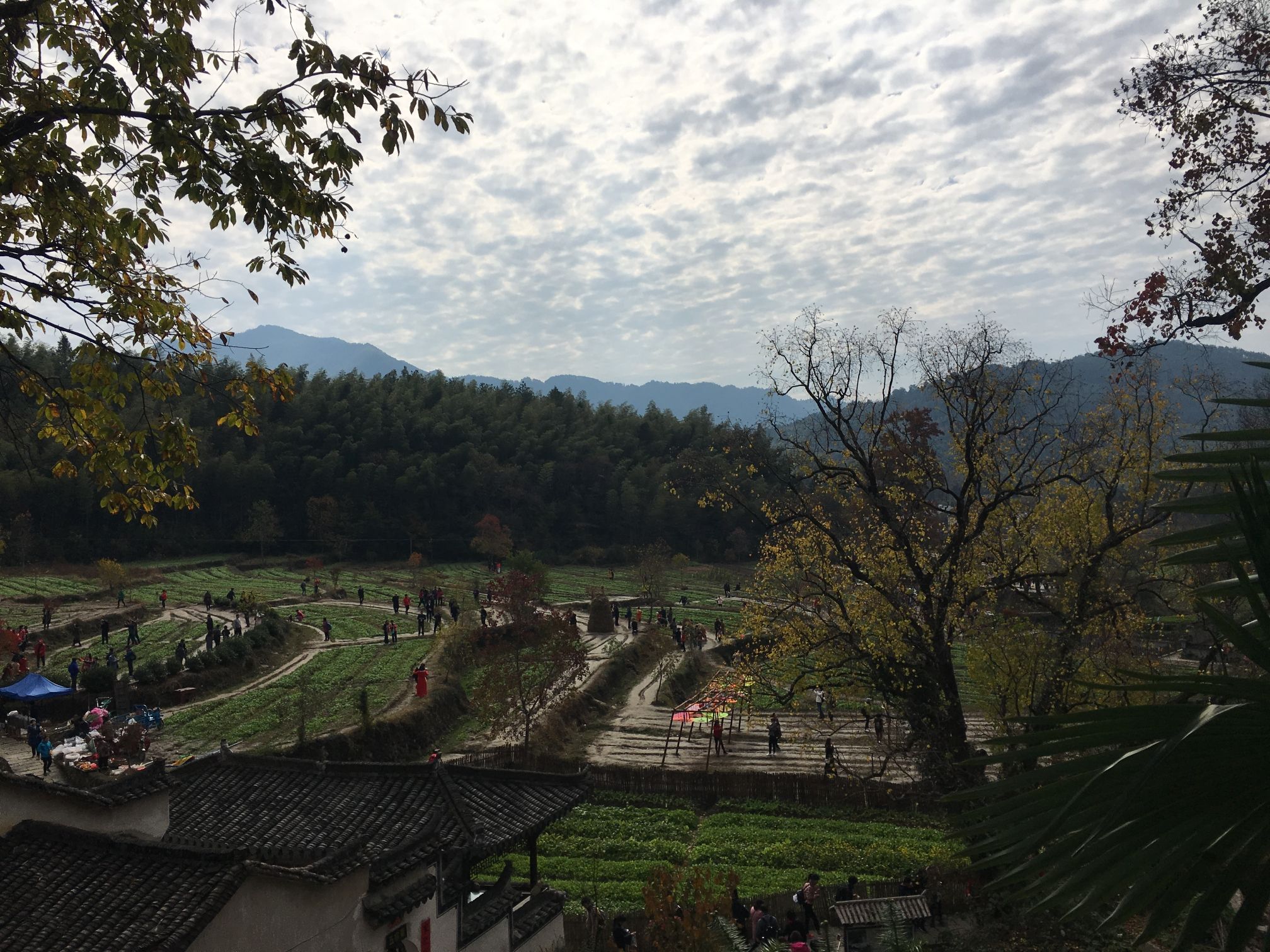 塔川国家森林公园旅行图片 1