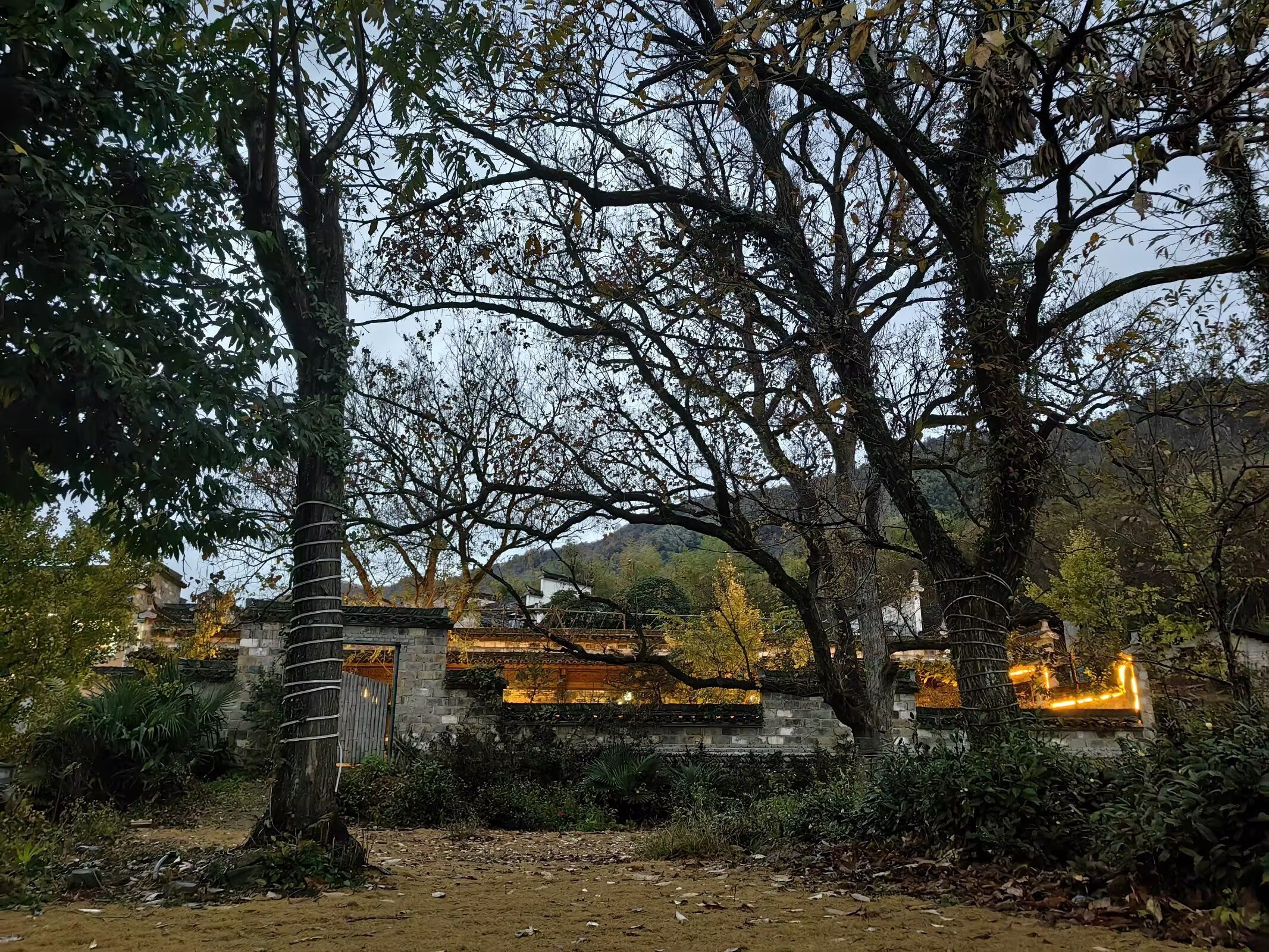 塔川国家森林公园旅行图片 1