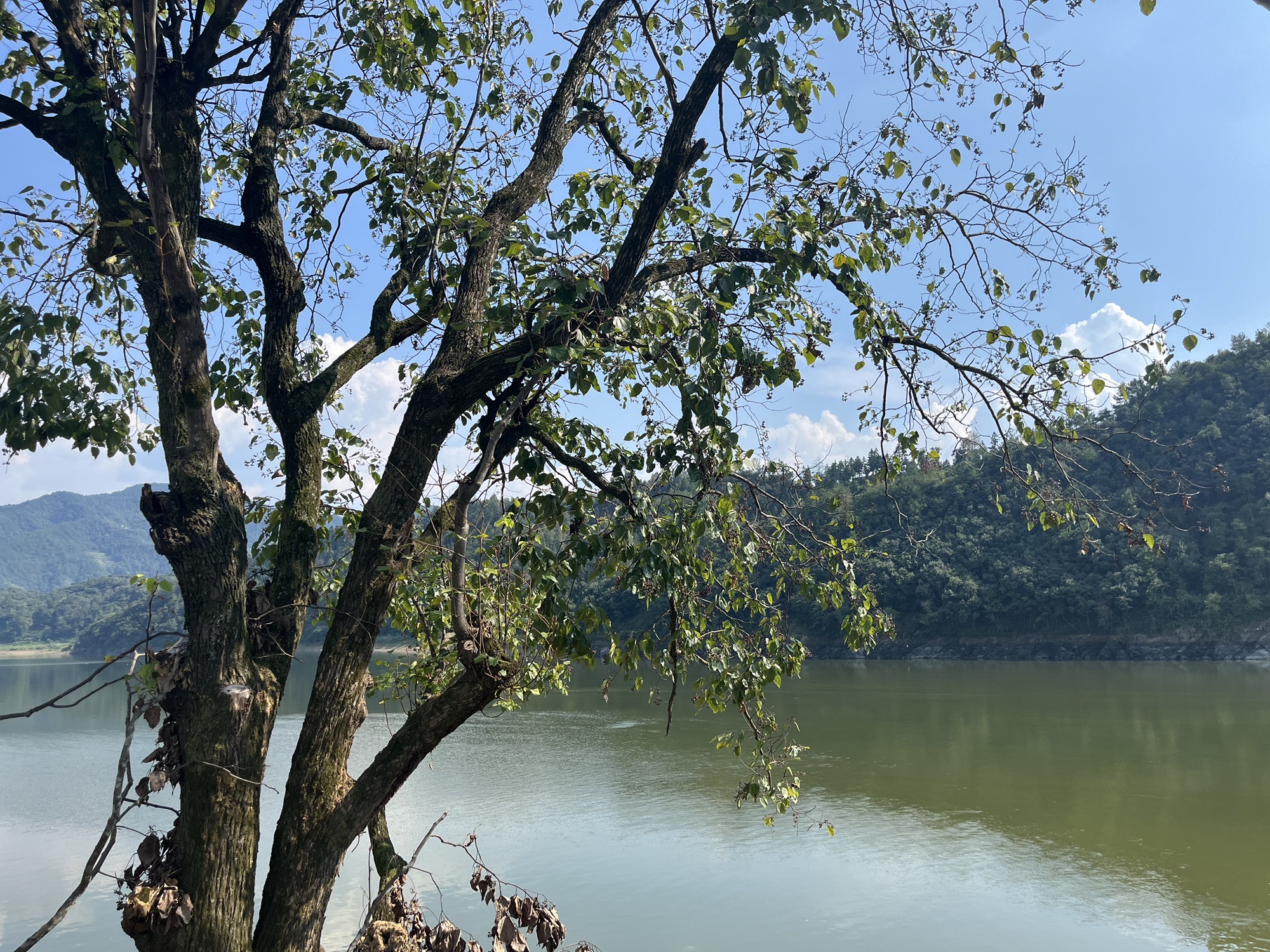 新安江山水画廊风景区旅行图片 1