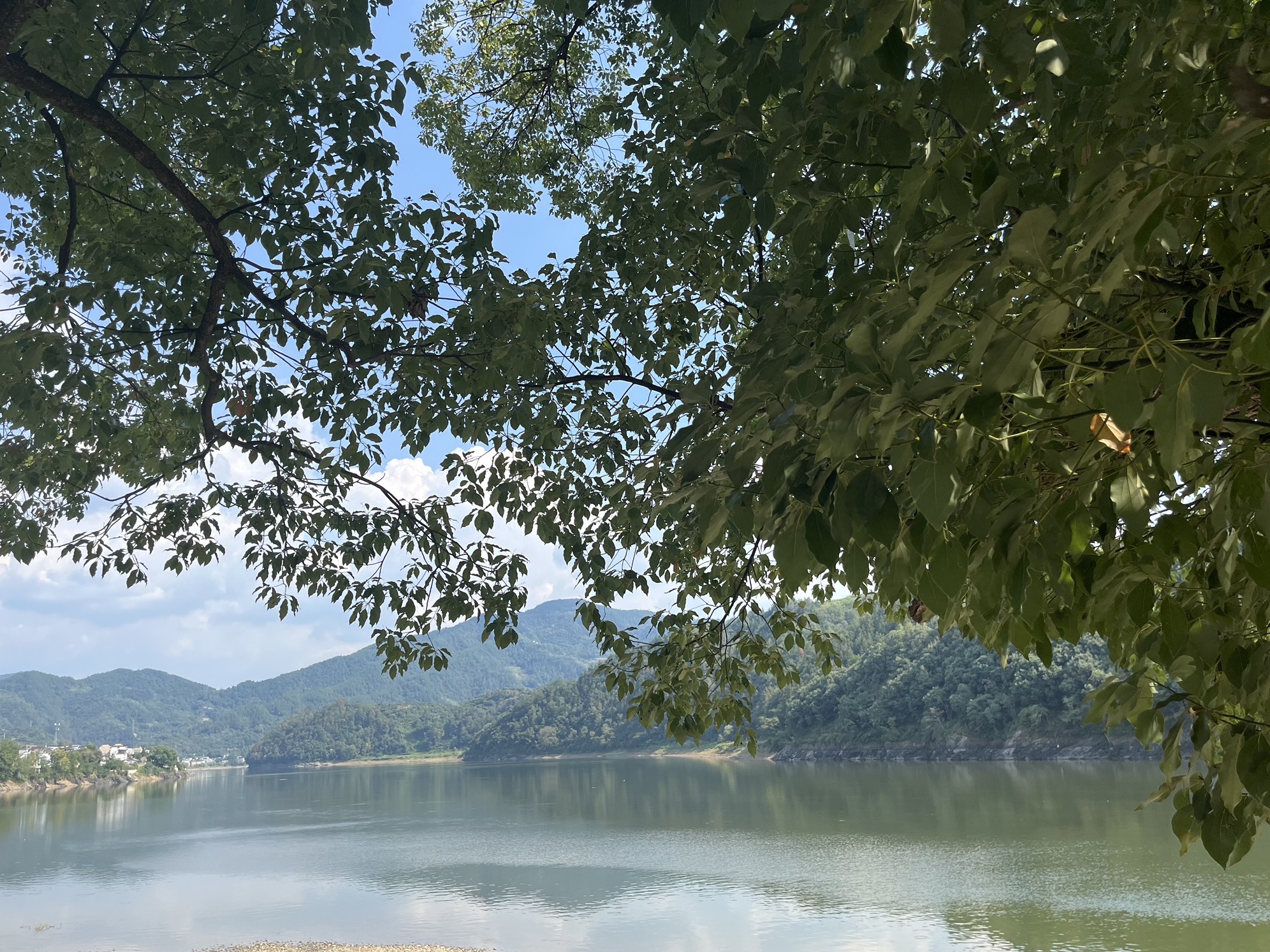 新安江山水画廊风景区旅行图片 2