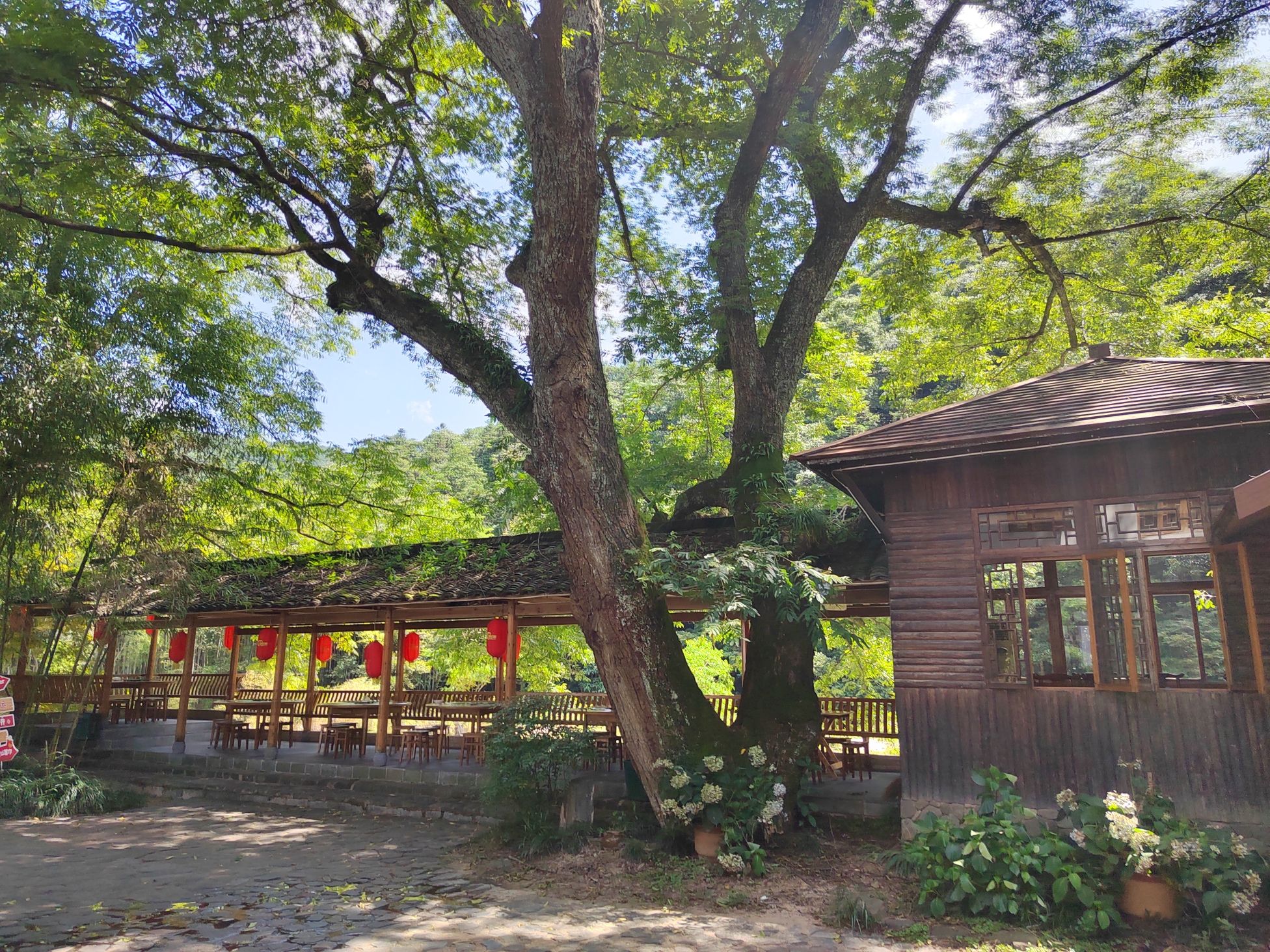 黄山区十里山酒家