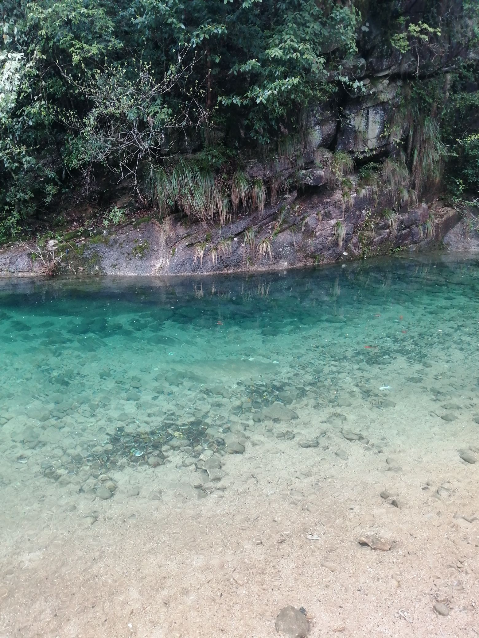 黄山芙蓉谷旅行图片 3