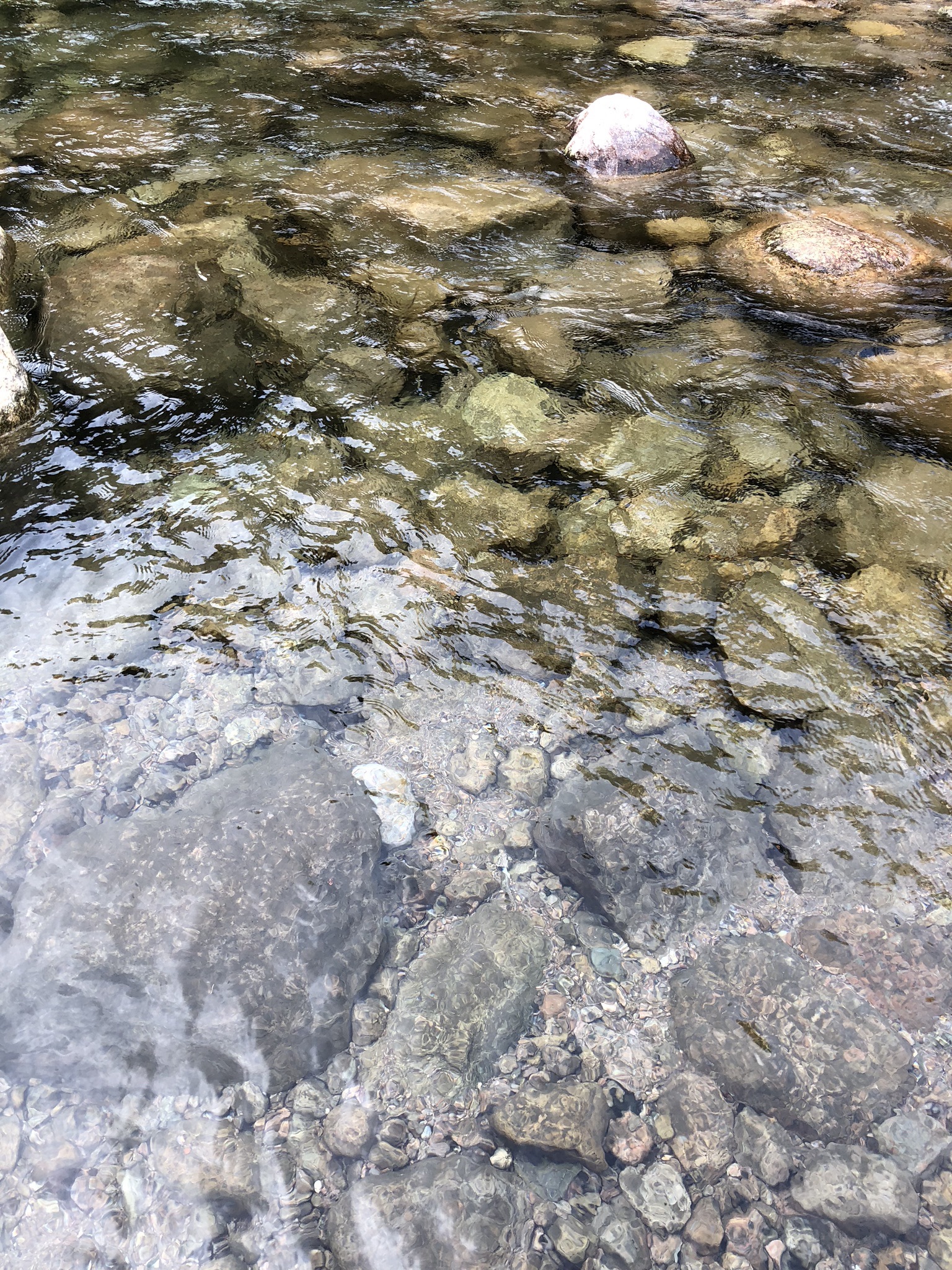 黄山芙蓉谷旅行图片 3