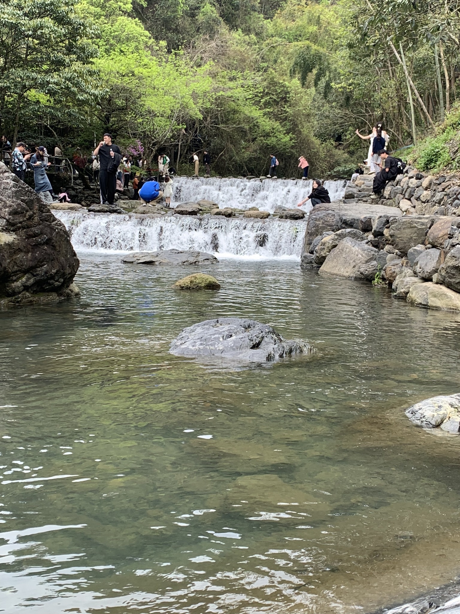 牯牛降国家级自然保护区(不对外开放)旅行图片 2