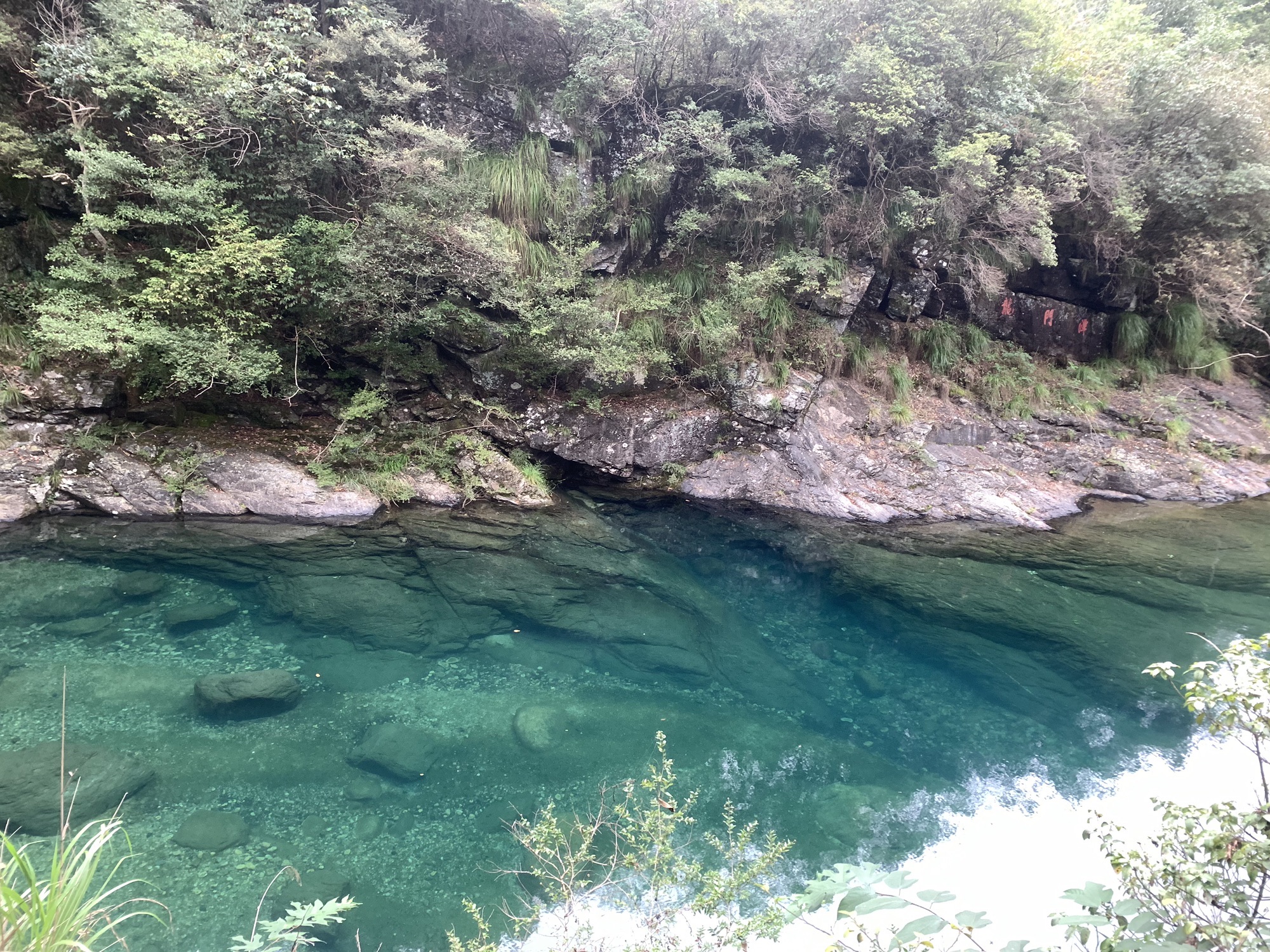 牯牛降国家级自然保护区(不对外开放)旅行图片 3
