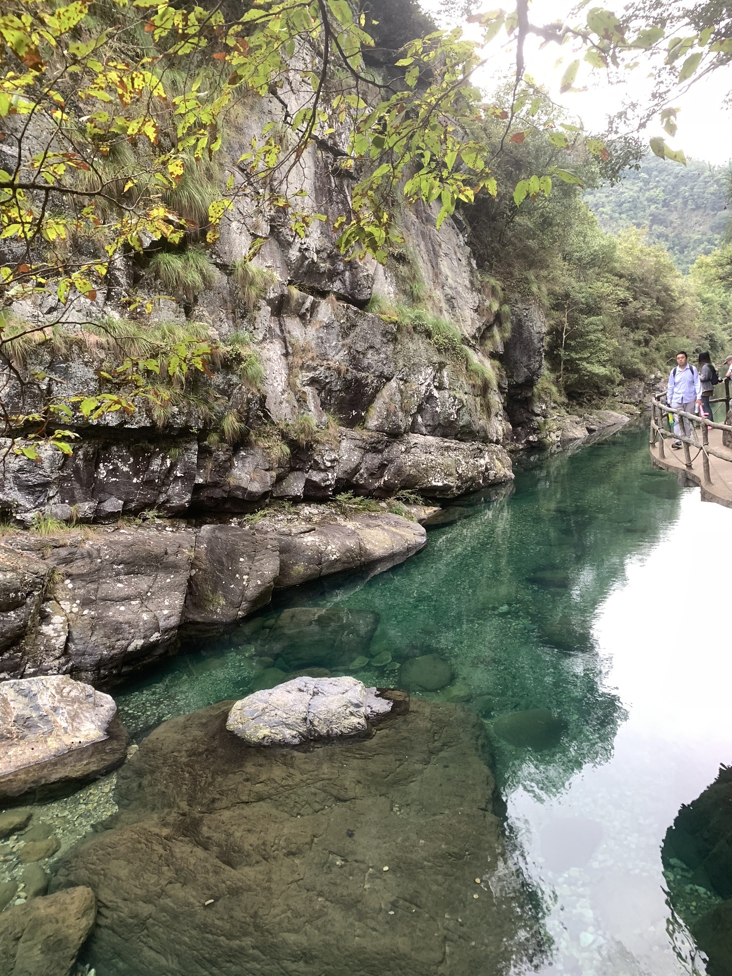 牯牛降国家级自然保护区(不对外开放)旅行图片 2