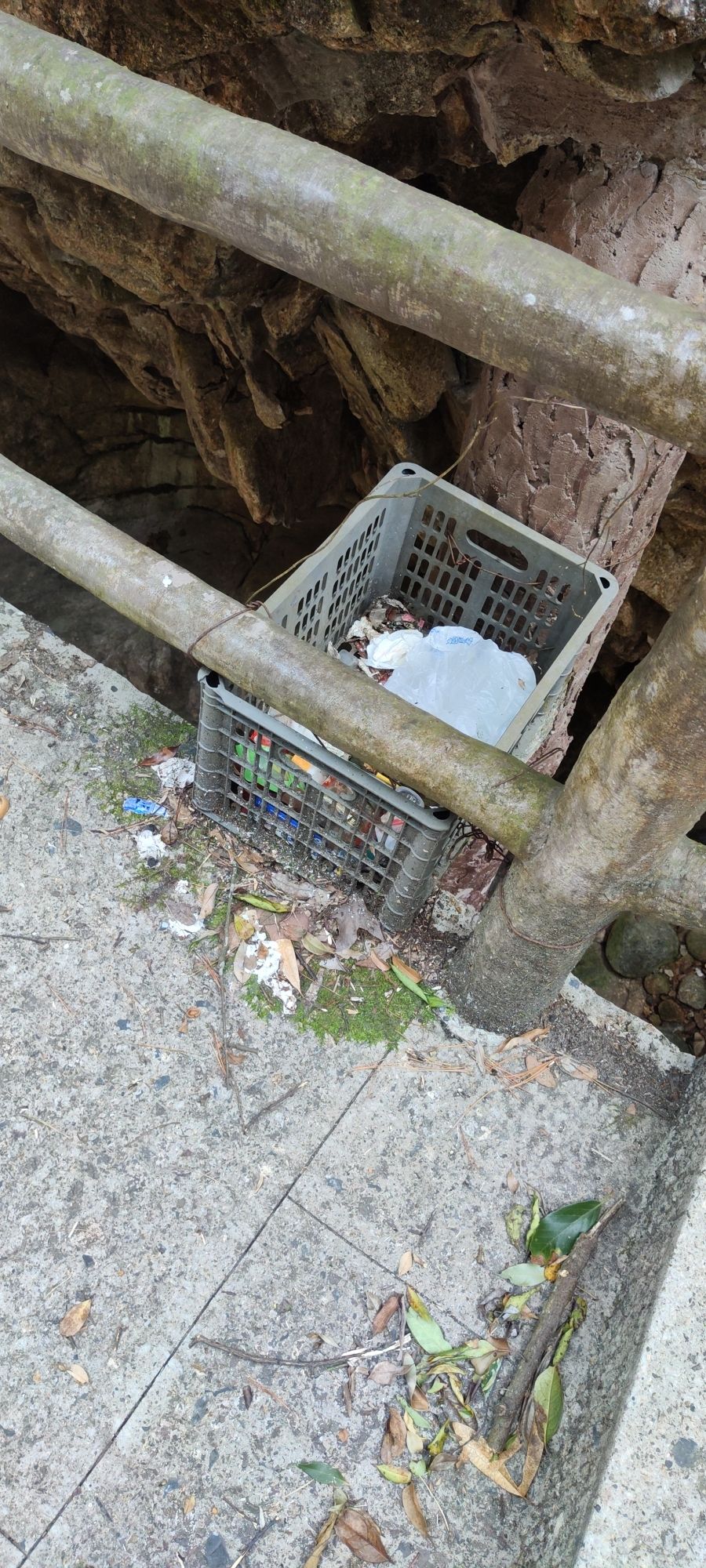牯牛降国家级自然保护区(不对外开放)旅行图片 3