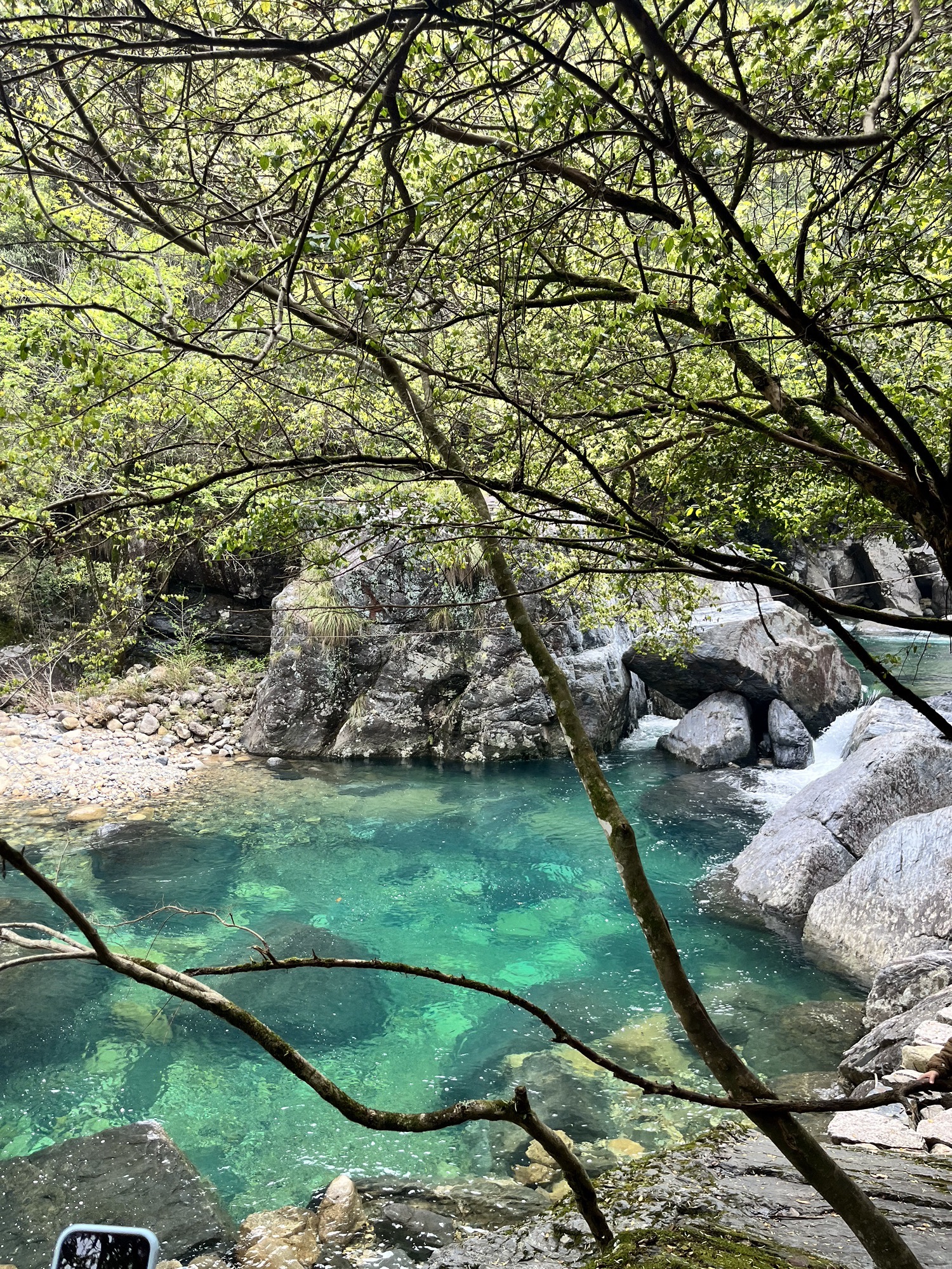 牯牛降国家级自然保护区(不对外开放)旅行图片 2