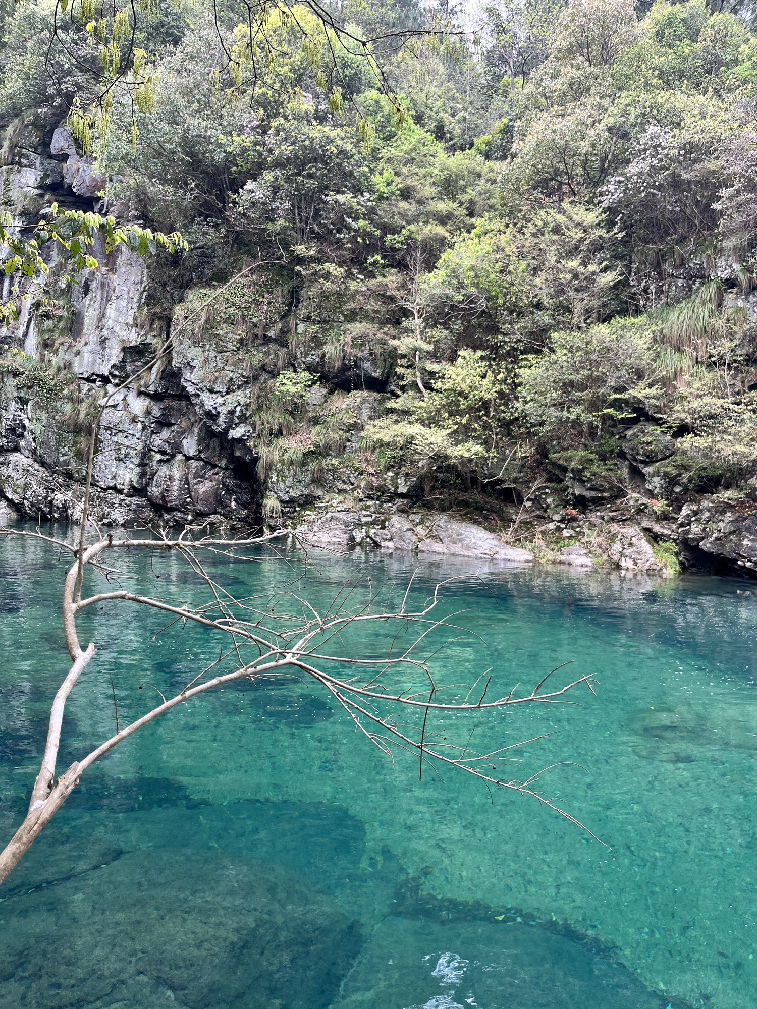 牯牛降国家级自然保护区(不对外开放)旅行图片 1