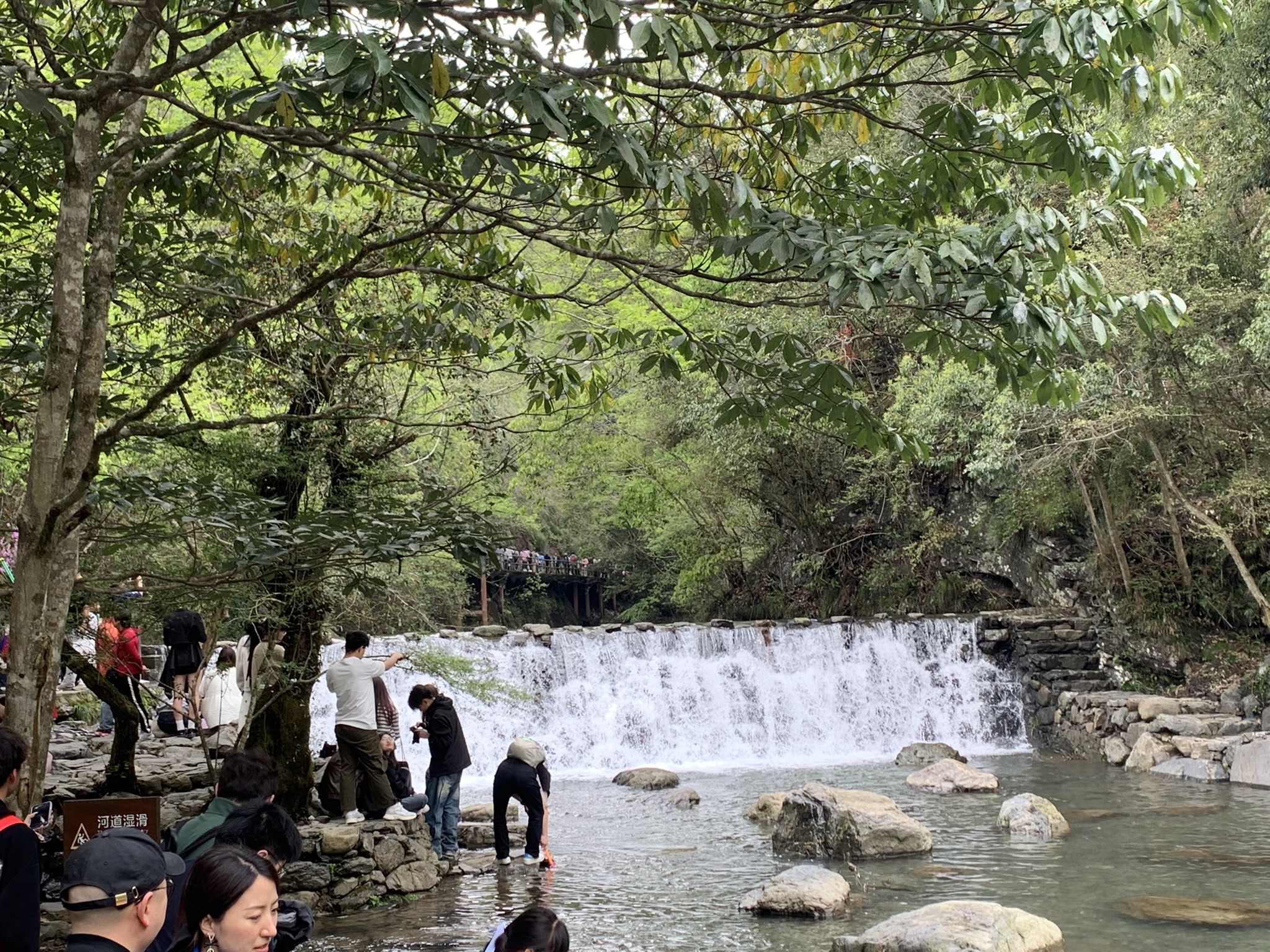 牯牛降国家级自然保护区(不对外开放)旅行图片 1