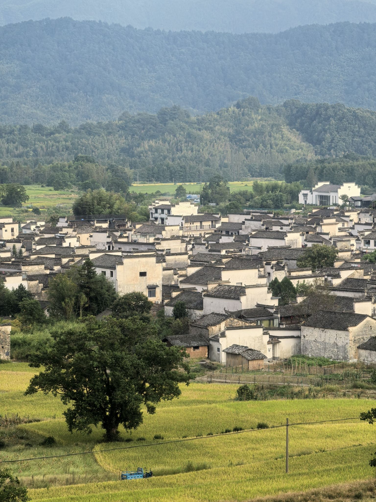 卢村木雕楼景区旅行图片 1