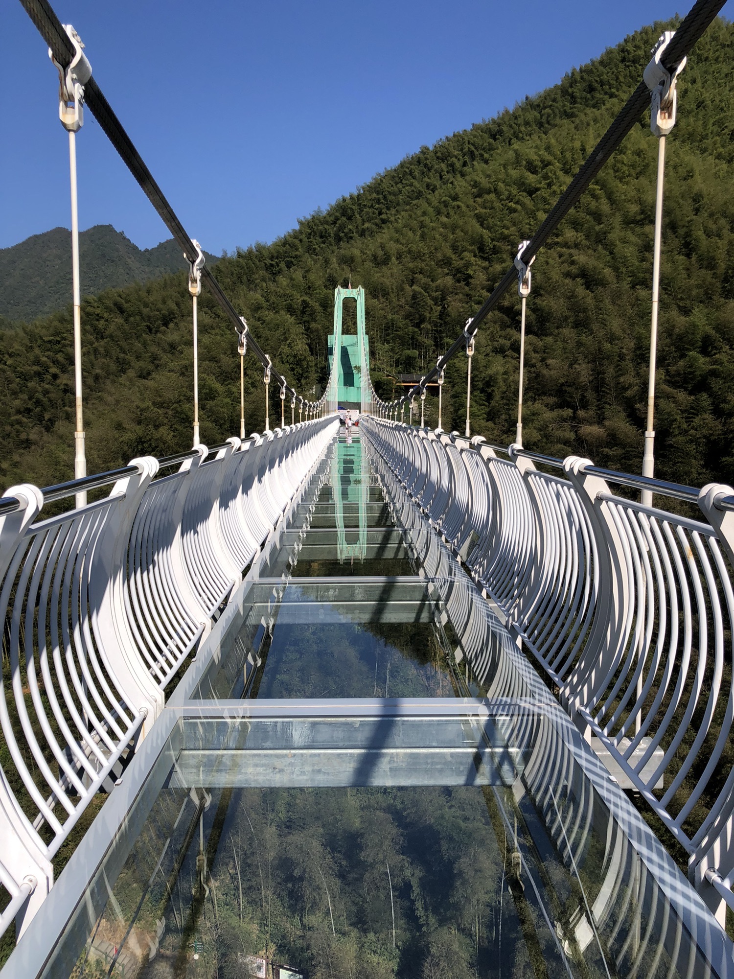 木坑竹海旅行图片 3
