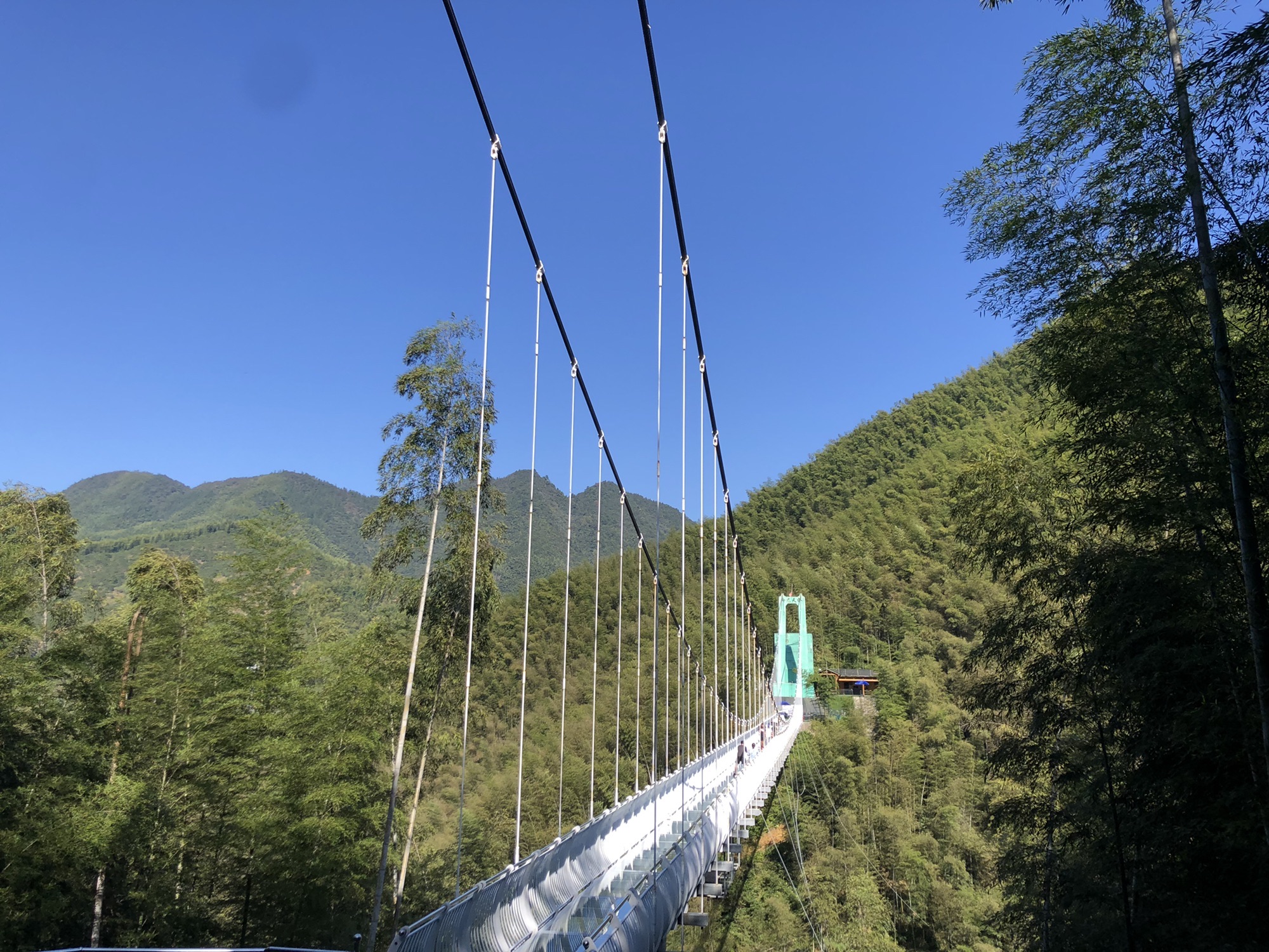 木坑竹海旅行图片 1