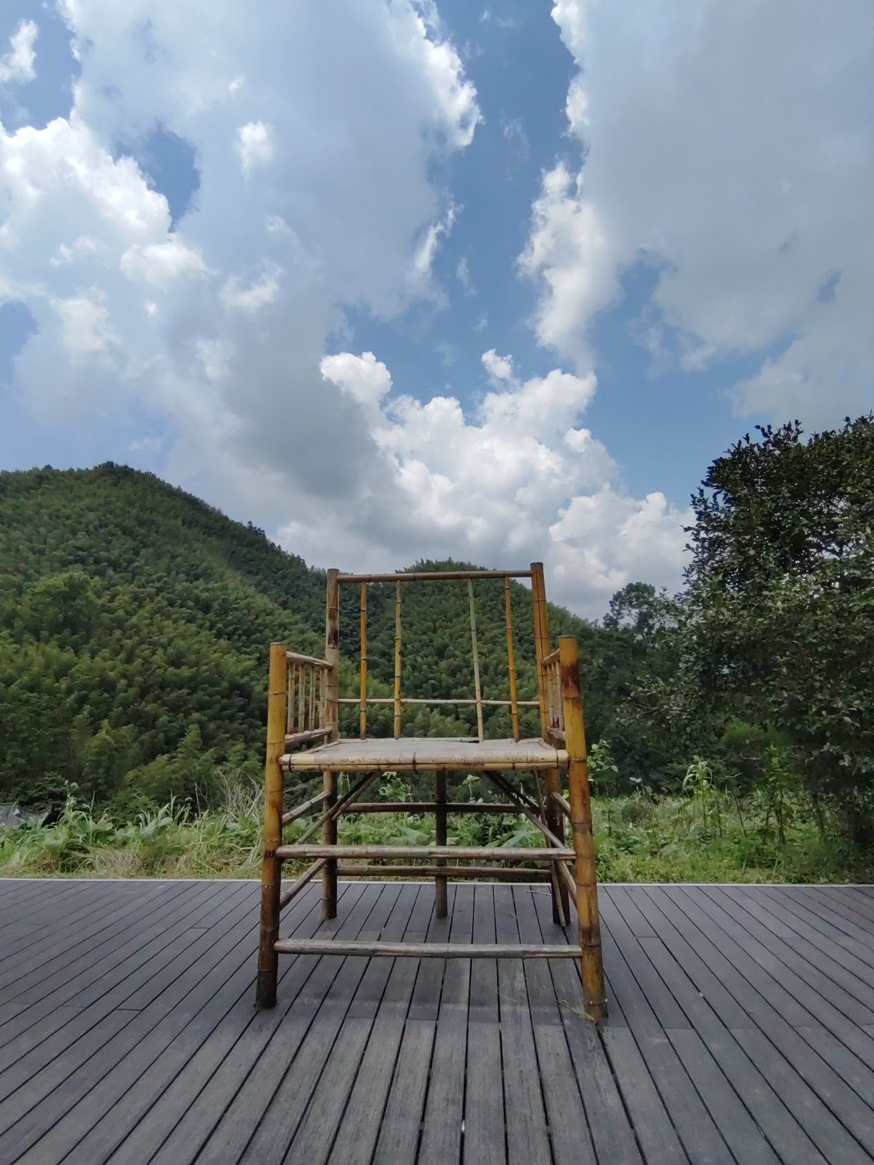 木坑竹海旅行图片 3