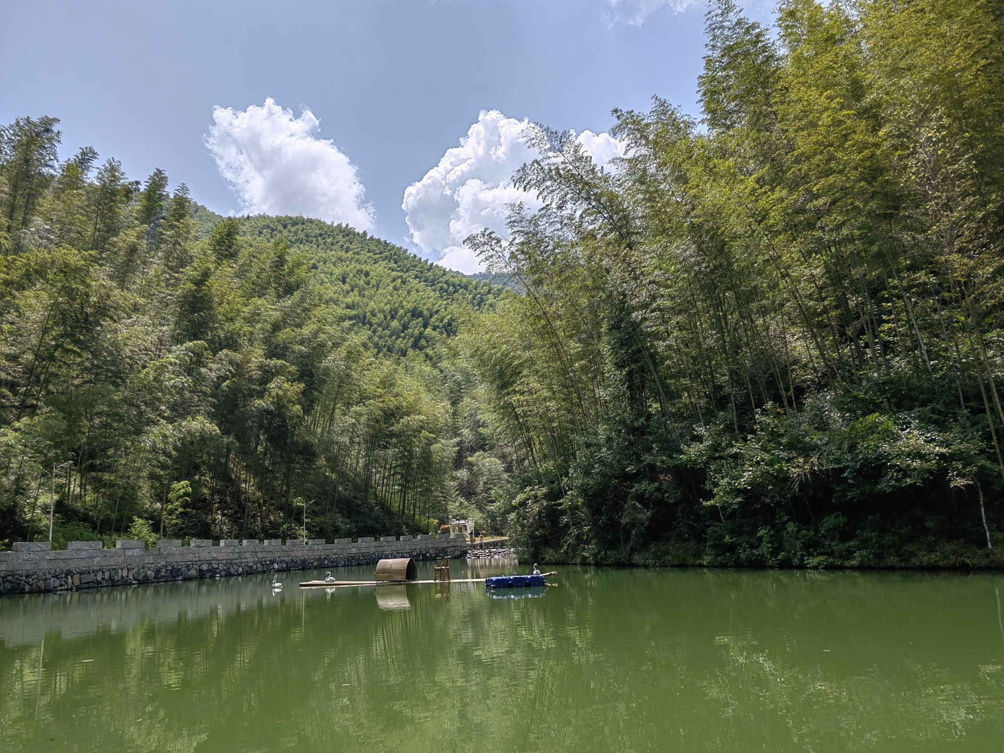 木坑竹海旅行图片 1